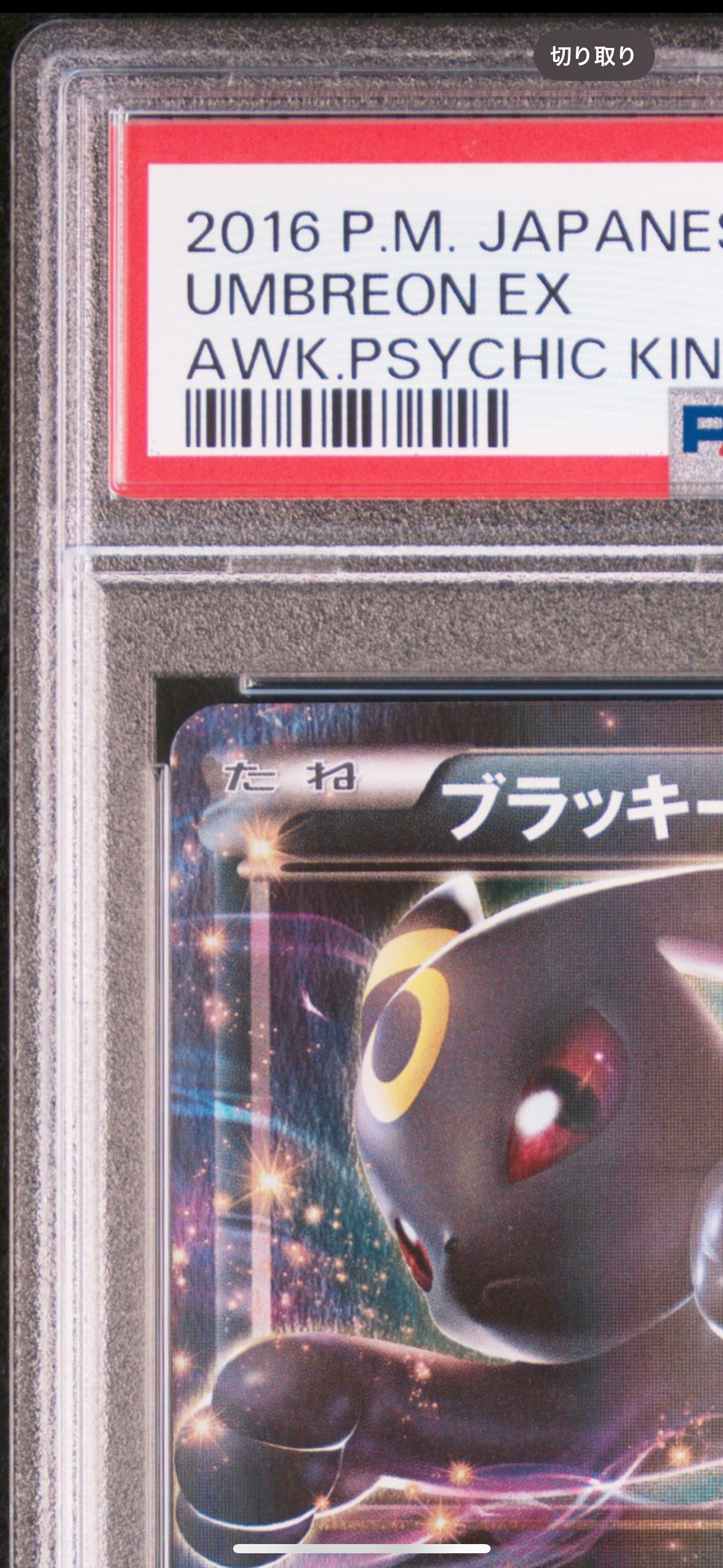 ポケモンカード　ブラッキーEX RR XY10 めざめる超王 042/078 ポケモンカード ブラッキーEX RR XY10 めざめる超王 042/078