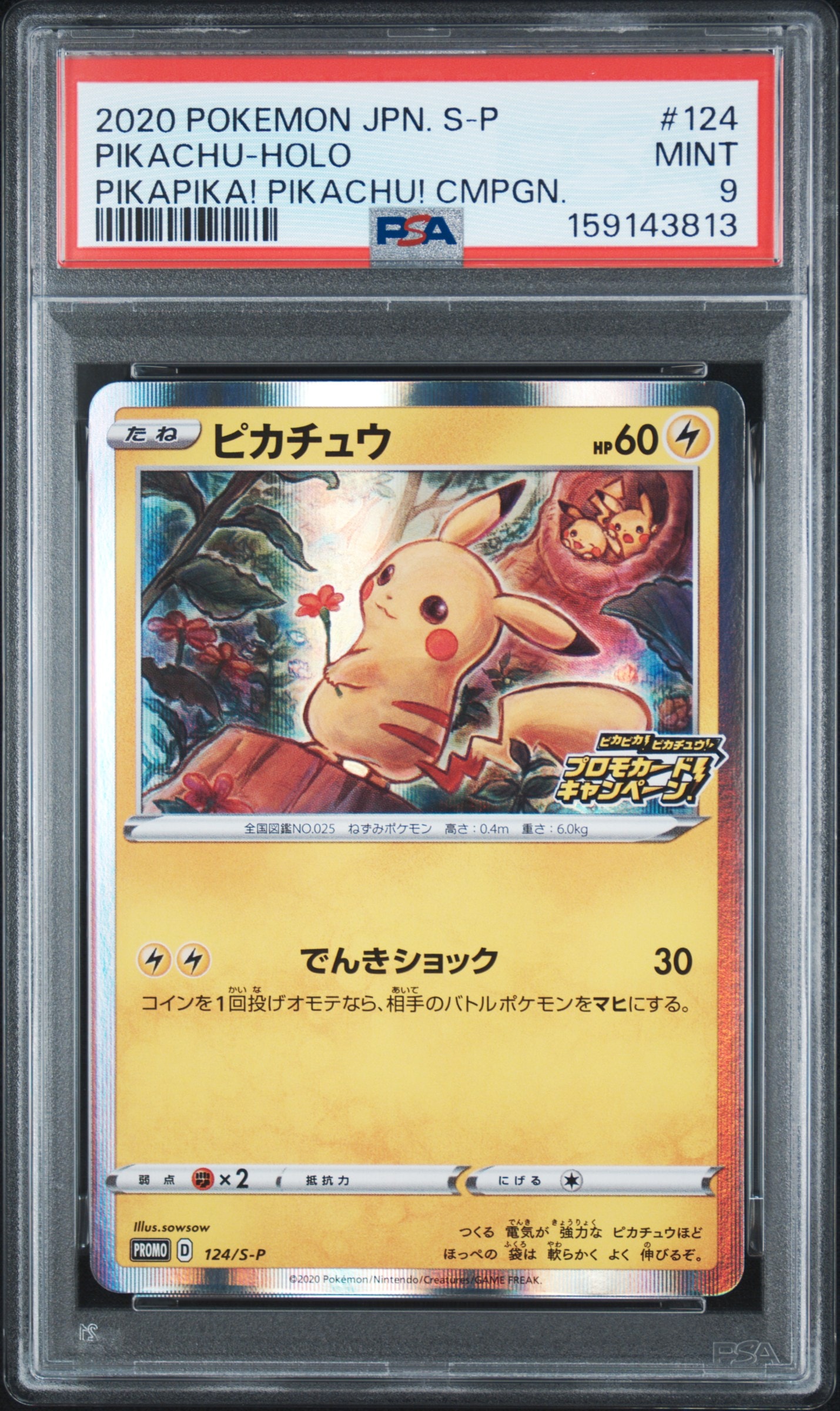 ピカチュウ: プロモ P [S-P 124](ピカピカ！ピカチュウ！プロモカード