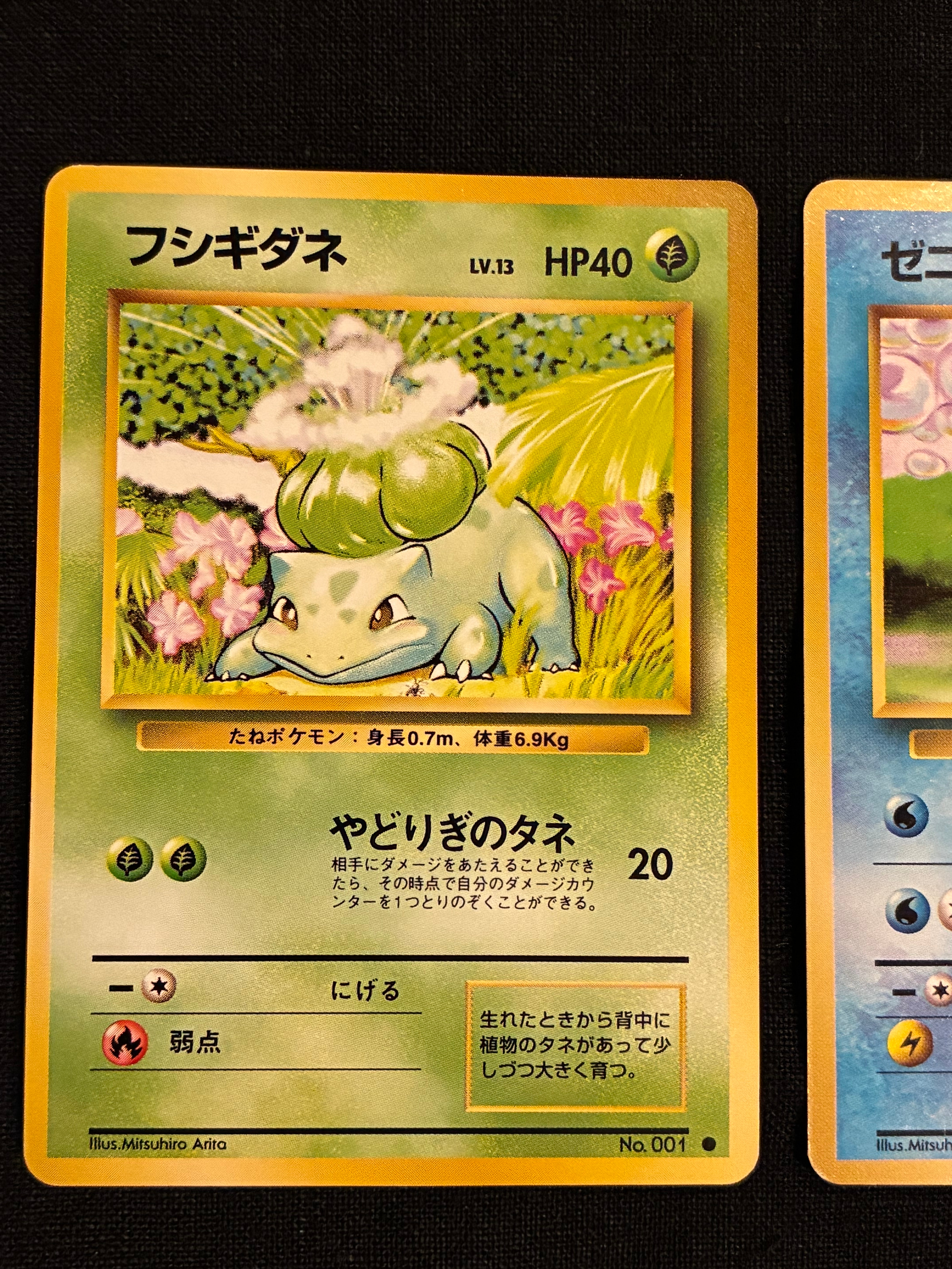 ARS10+】フシギダネ ○ : 旧裏 [PMCG1-2](拡張パック