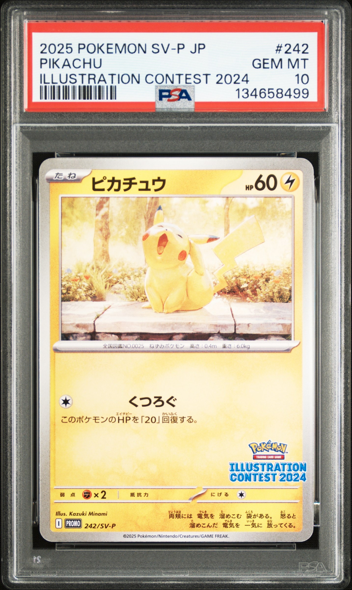 ピカチュウ [SV-P 242](プロモカードパック「イラストレーションコンテスト 2024 受賞作品プロモカード化記念キャンペーン」)