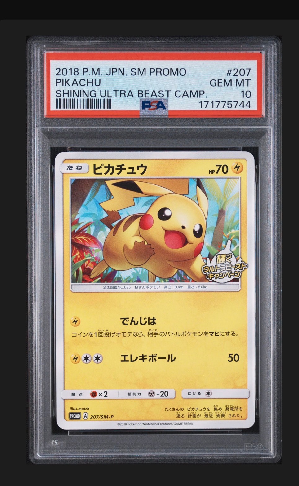 ピカチュウ: プロモ [SM-P 207](プロモーションカード「SM-P」)通販