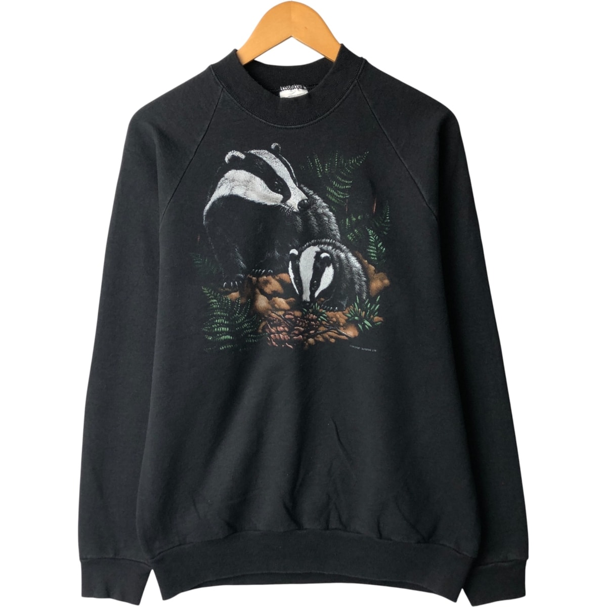 古着 90年代 フルーツオブザルーム FRUIT OF THE LOOM SCREEN STARS スクリーンスターズ アナグマ柄 アニマル スウェットシャツ トレーナー メンズL相当 ヴィンテージ/eaa586667
