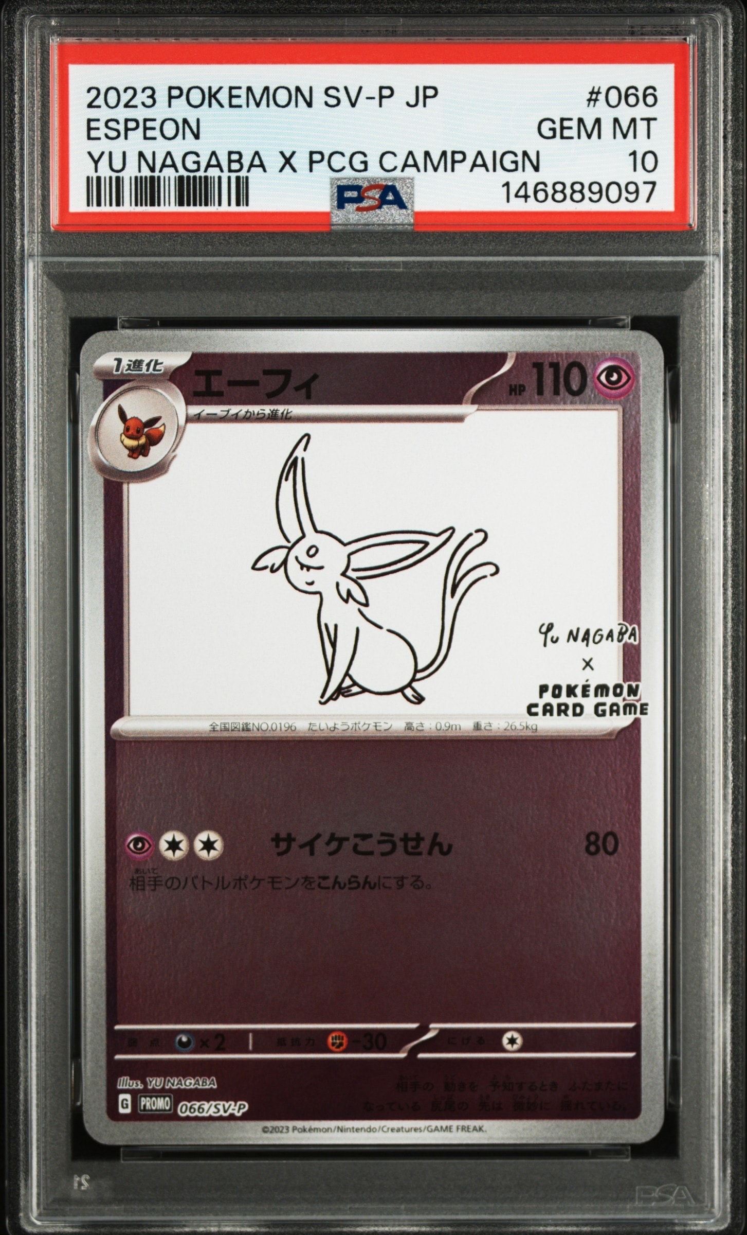 グラードン [PCG 007/009](ポケパークプレミアムファイル「ブルー