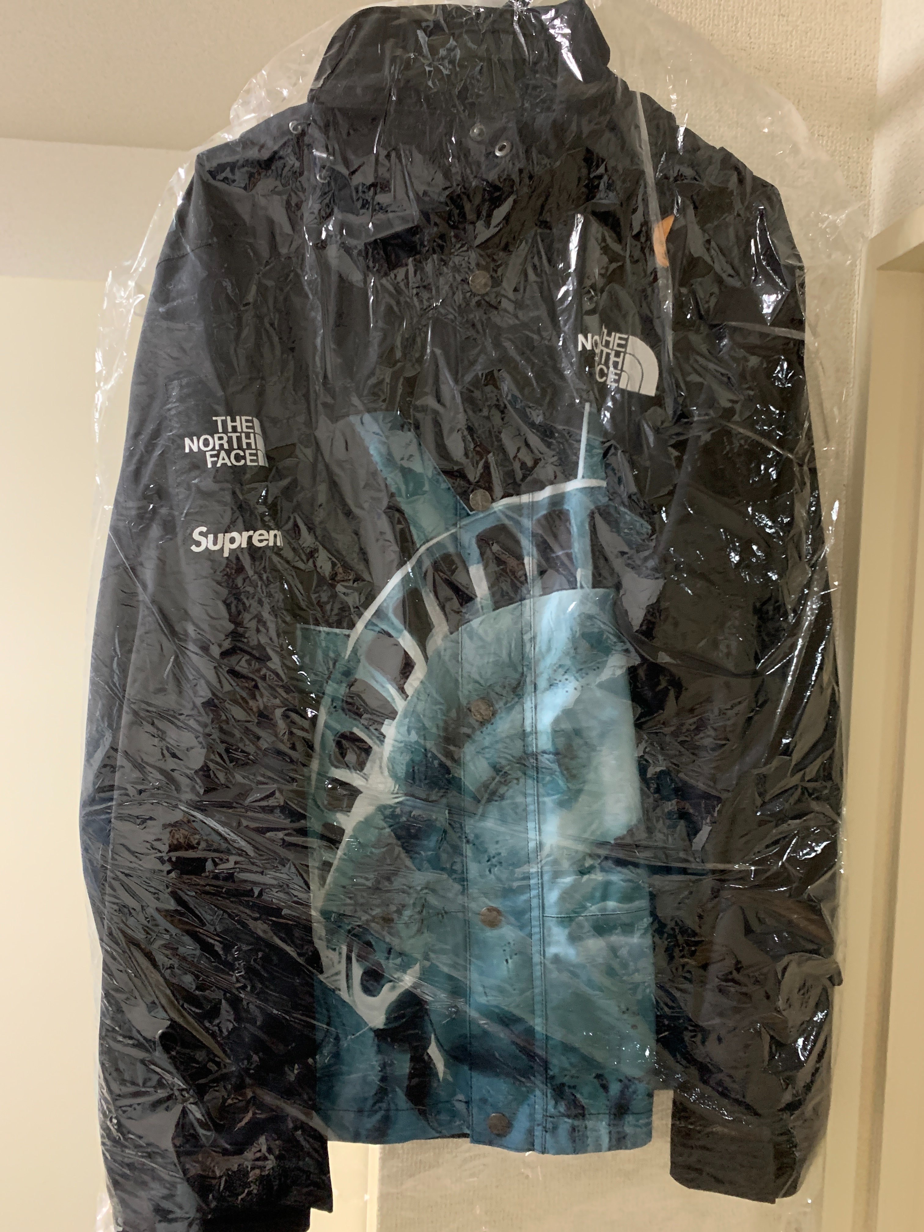 Supreme x The North Face Statue of Liberty Mountain Jacket "Black"