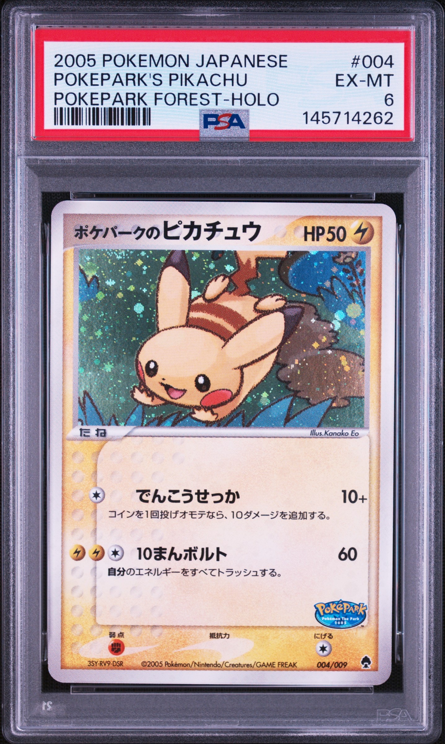 ポケパークのピカチュウ [PCG 004/009](ポケパークプレミアムファイル