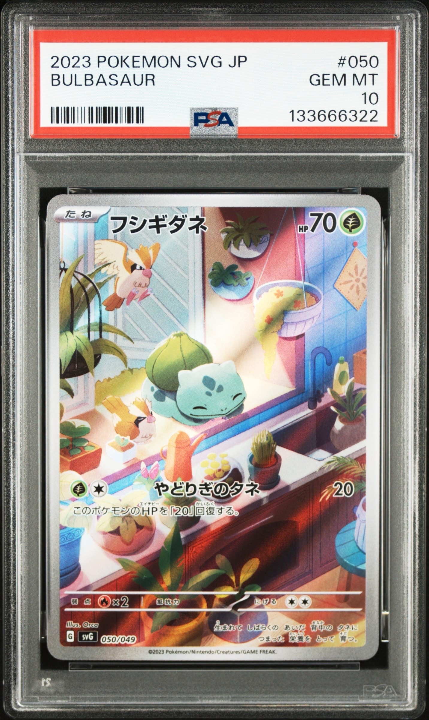 フシギダネ :フルイラスト [SVG 050/049](スペシャルデッキセットex「フシギバナ・リザードン・カメックス」)