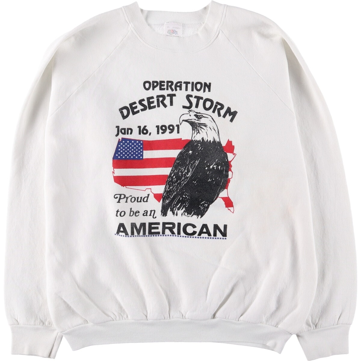 古着 80年代 FRUIT OF THE LOOM 鷲柄 イーグル柄 プリントスウェットシャツ トレーナー USA製 メンズXL相当 ヴィンテージ/eaa591060