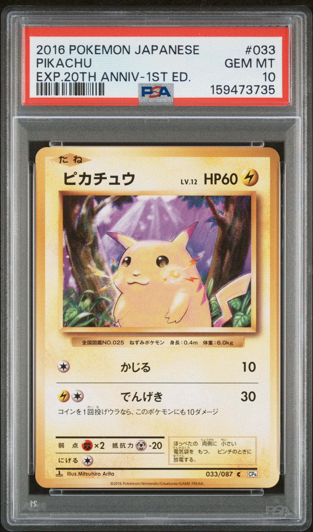 ピカチュウ C :1ED [CP6 033/087](コンセプトパック「ポケットモンスターカードゲーム 拡張パック 20th Anniversary」)