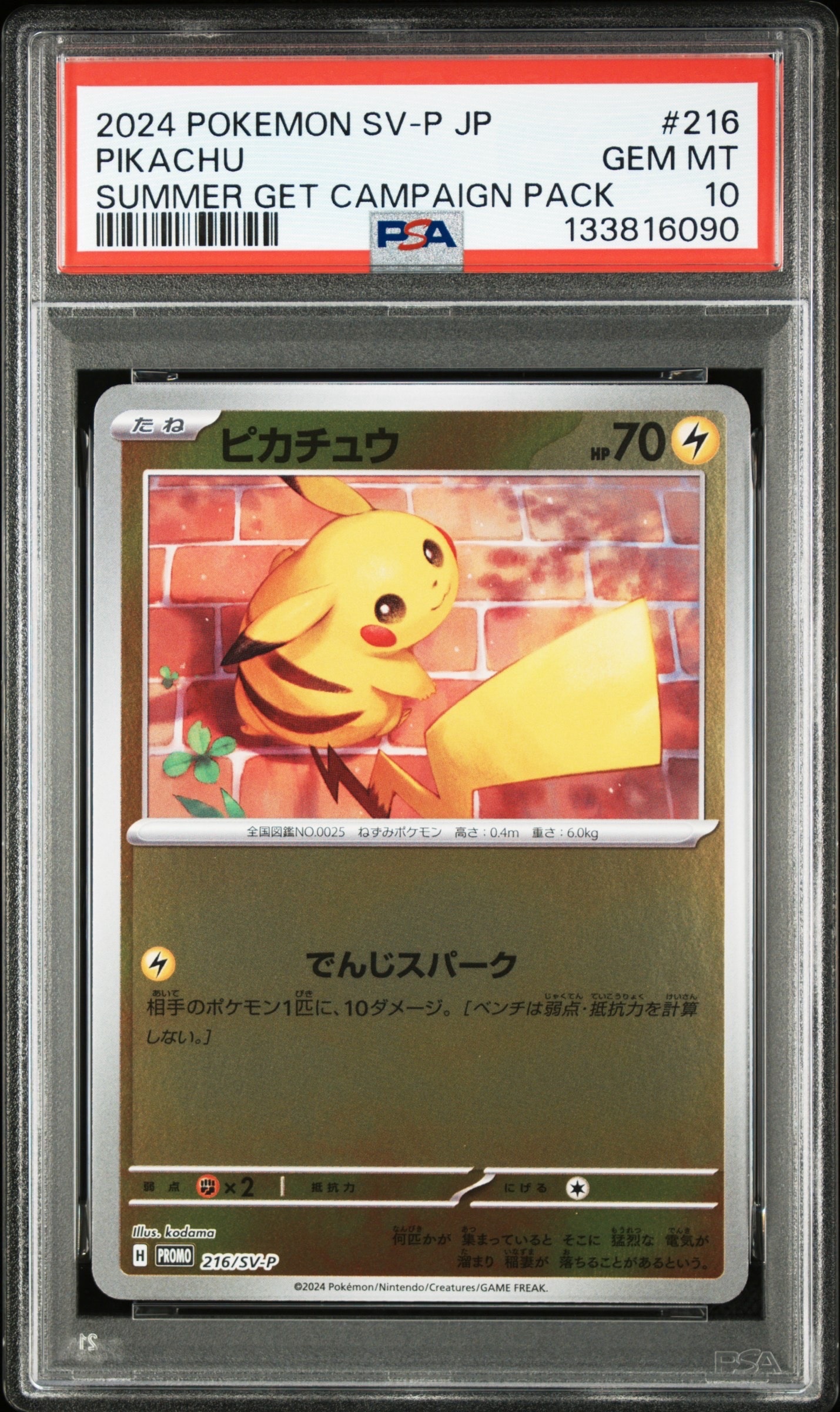 ピカチュウ P [SV-P 216](プロモカードパック「ポケカの夏がキタ!プロモカードGetキャンペーン!」)