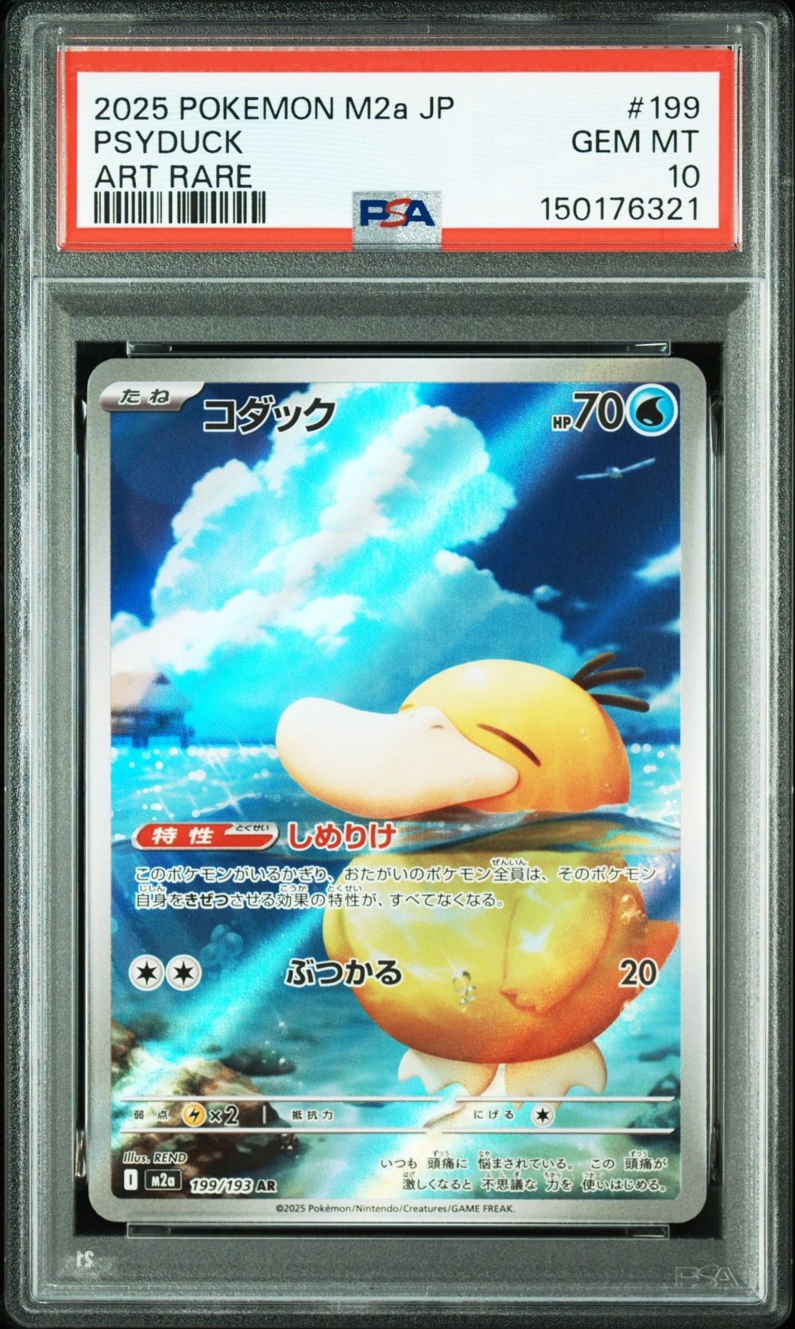 コダック AR [M2a 199/193](ハイクラスパック「MEGAドリームex」)