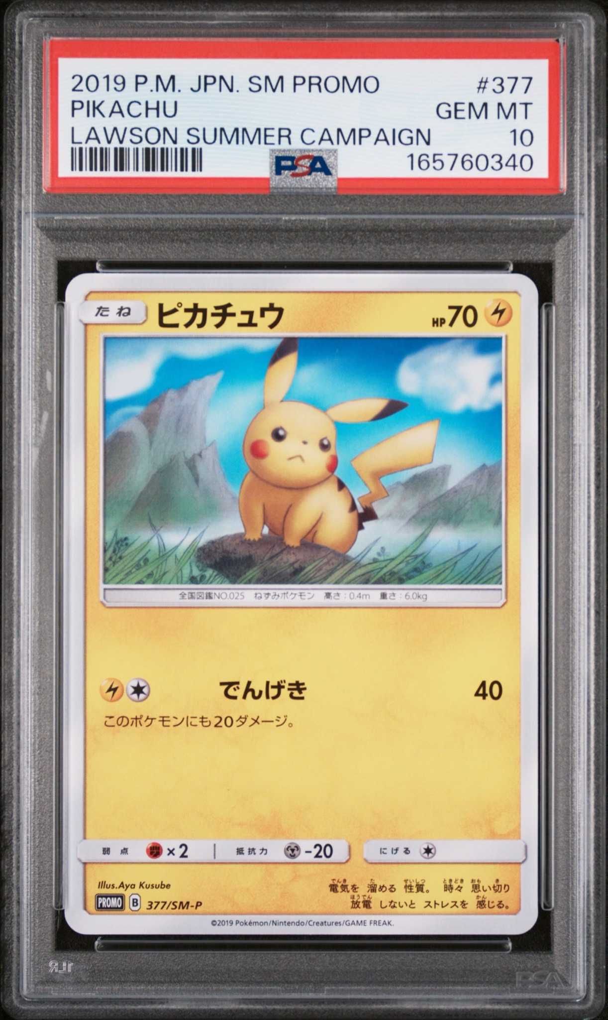 ピカチュウ P [SM-P 377](プロモーションカード「ローソンサマーキャンペーン」)