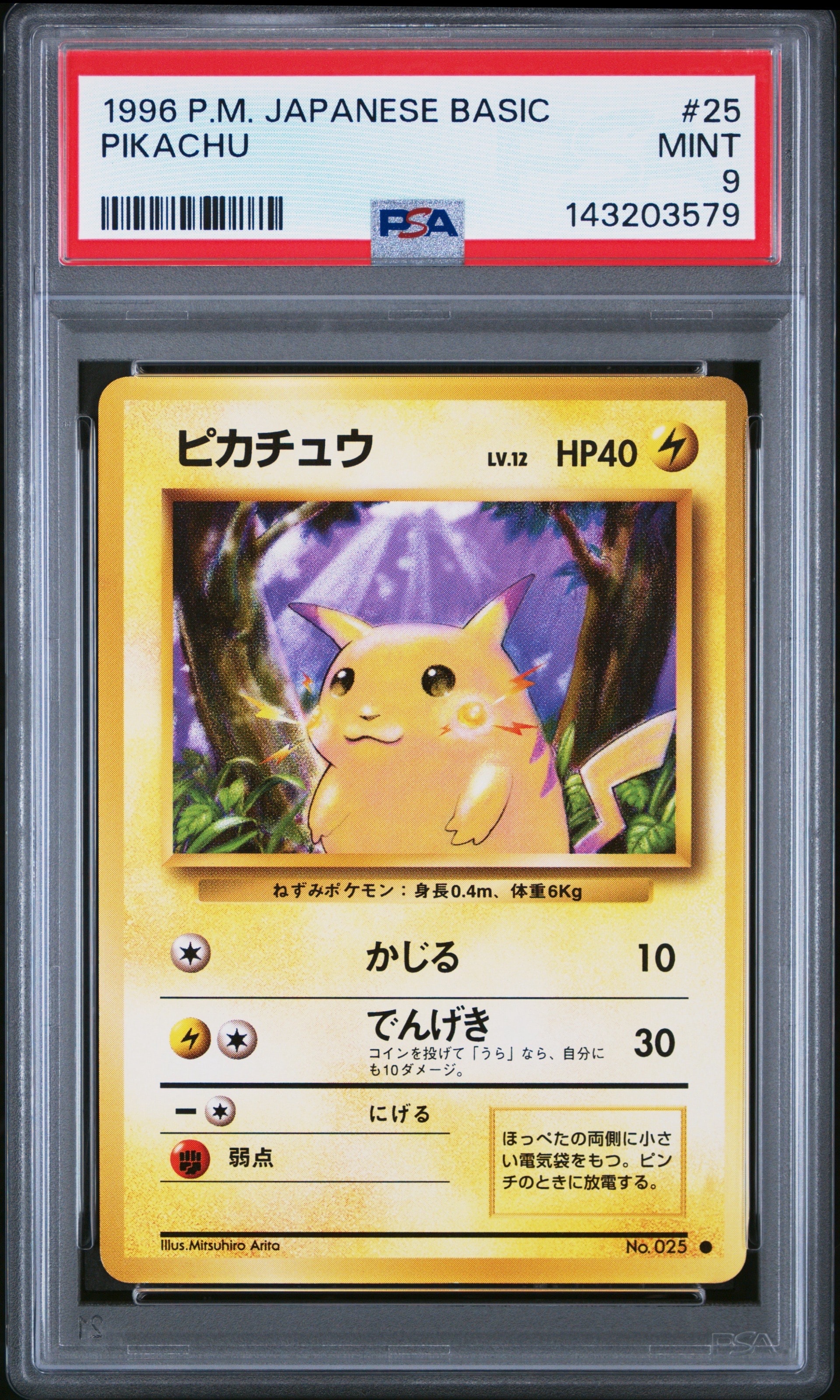 ピカチュウ ● : 旧裏 [PMCG1-2](拡張パック「ポケットモンスター カードゲーム」再販)