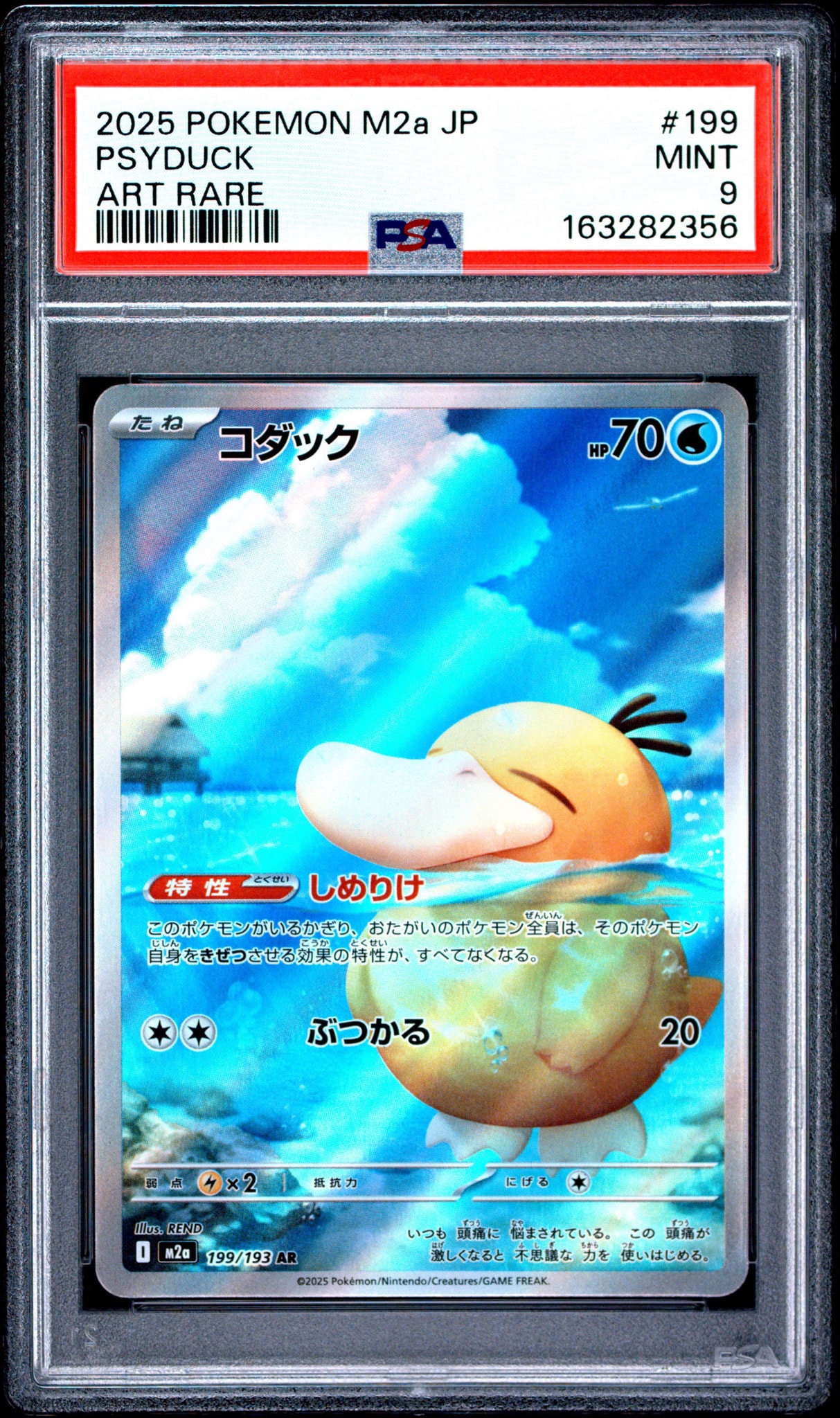 コダック AR [M2a 199/193](ハイクラスパック「MEGAドリームex」)