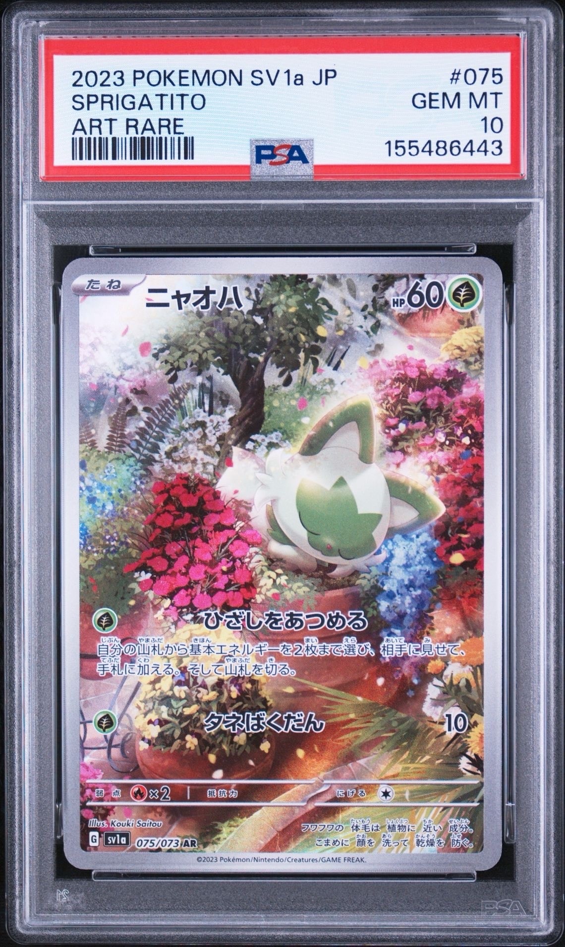 ハクリュー AR[SV2a 182/165](強化拡張パック「ポケモンカード151」)の