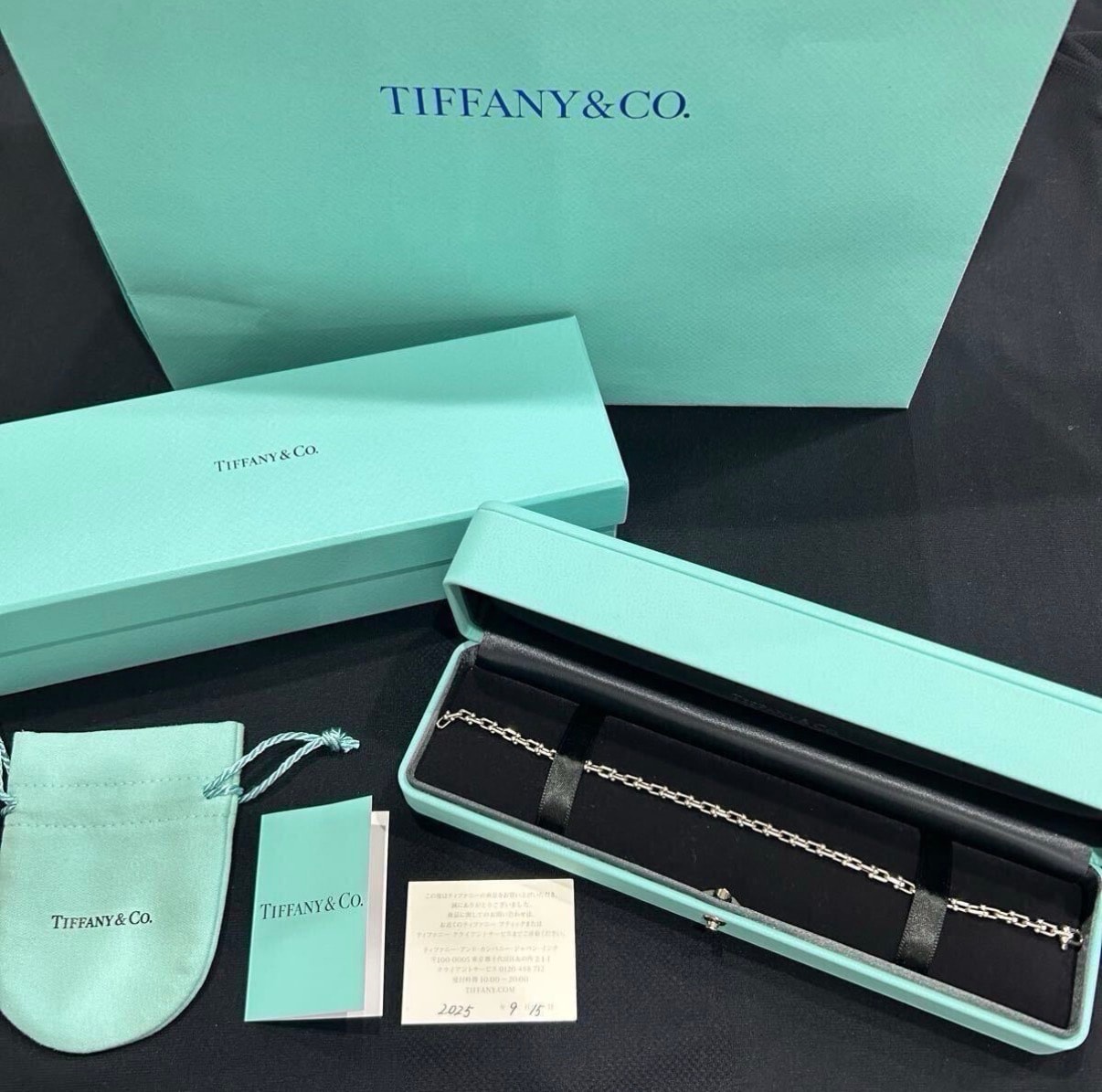 Tiffany & Co. HardWear Micro Link Bracelet in Sterling Silver