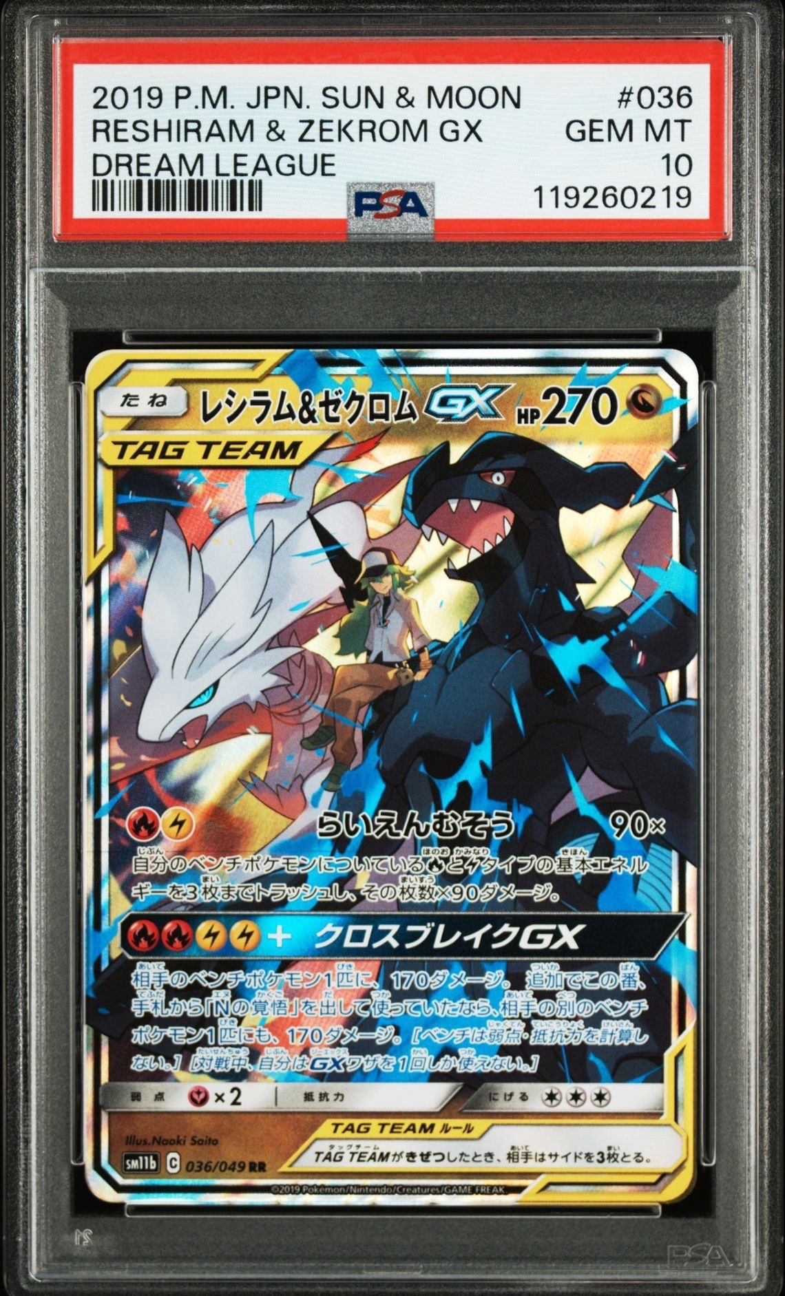 レシラム&ゼクロムGX (N) RR[SM11b 036/049](強化拡張パック「ドリームリーグ」)