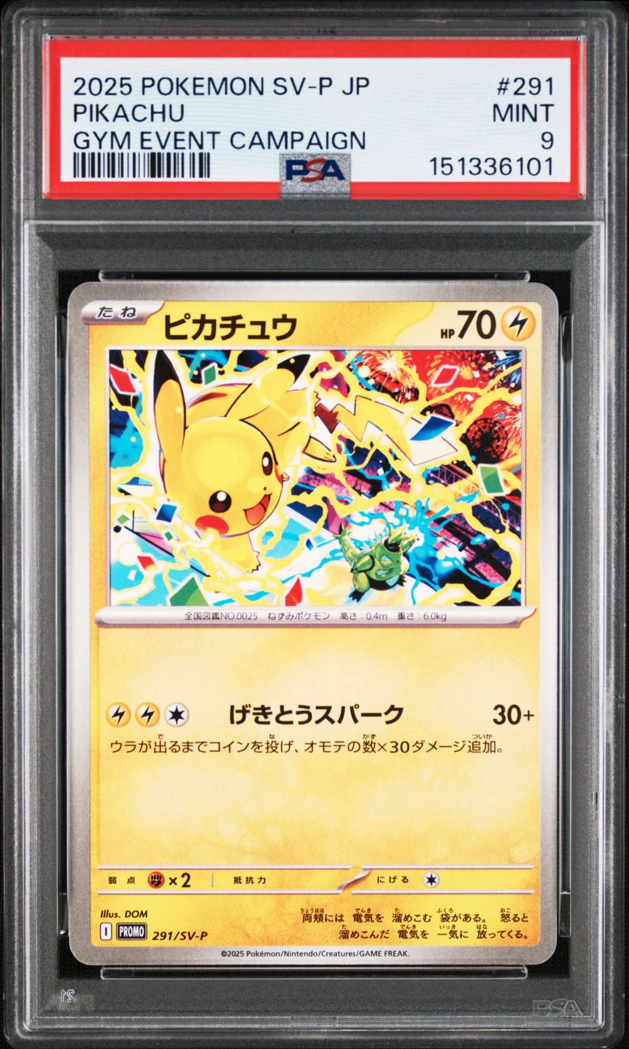 PSA10 ピカチュウ 291/SV-P プロモ ポケモンカード PSA10】ピカチュウ P [SV-P 291](プロモーションカード「SV-P」) 1枚の