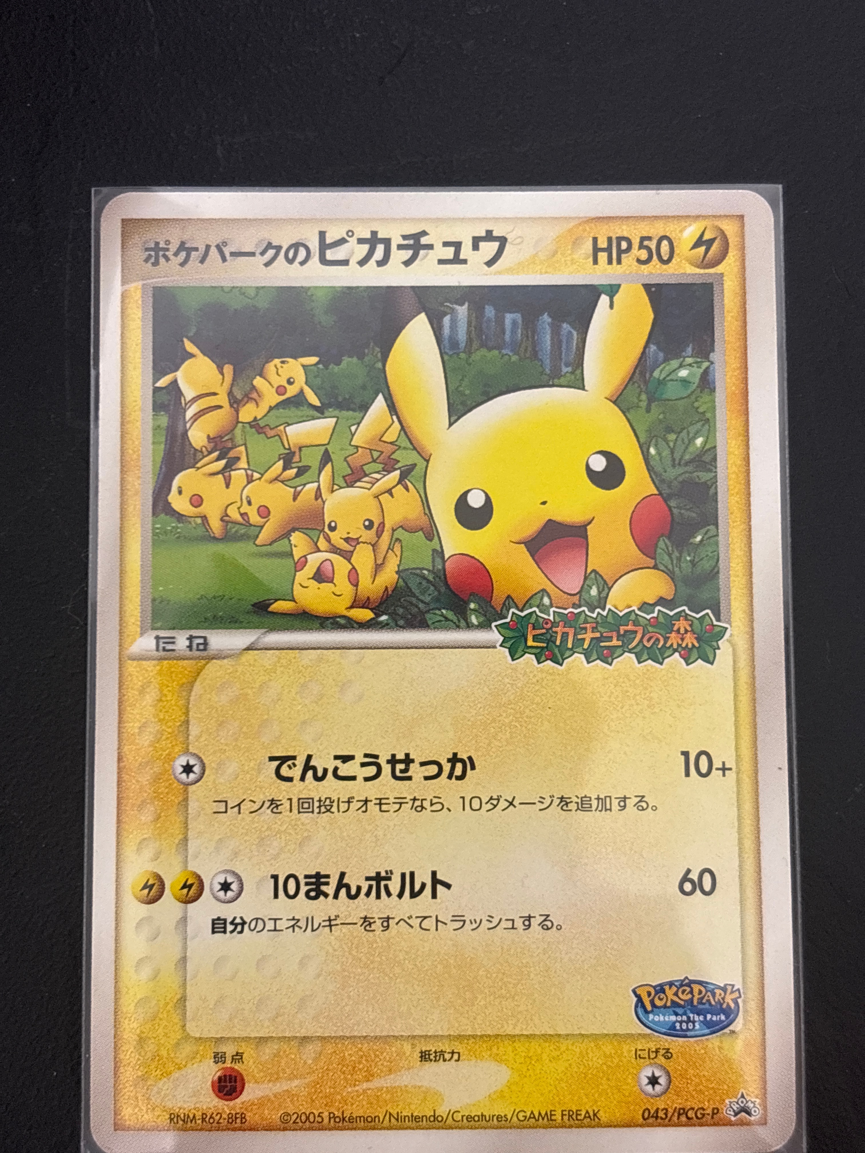 ポケパークのピカチュウ P [PCG-P 043](プロモーションカード「ポケパーク ルギアのくるくるシップ」)