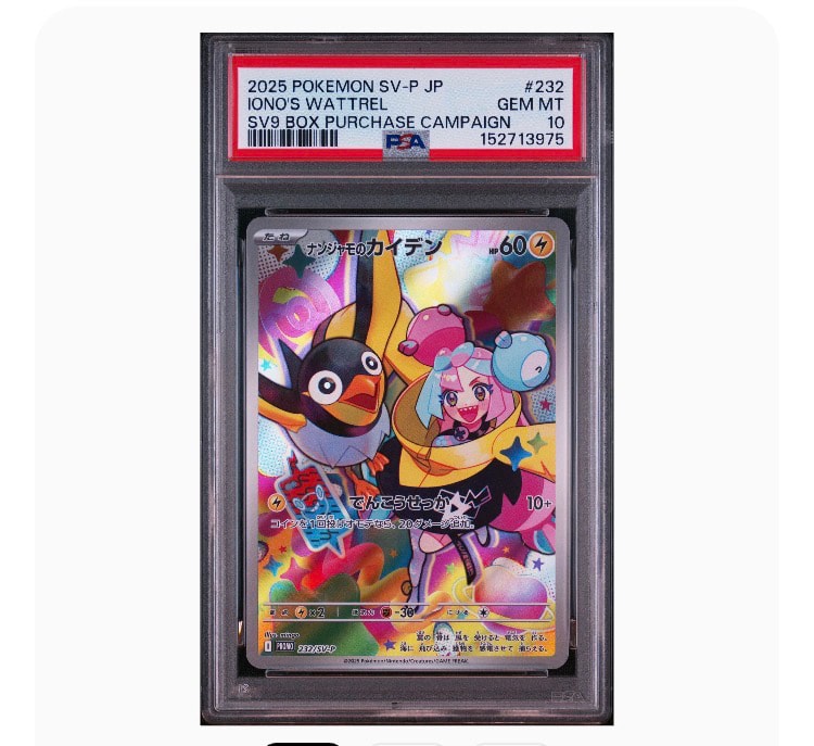ナンジャモのカイデン P [SV-P 232](プロモーションカード「拡張パック