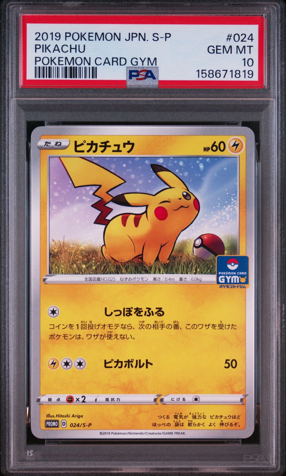 ピカチュウ: プロモ P [S-P 024](ポケモンカードゲーム ソード