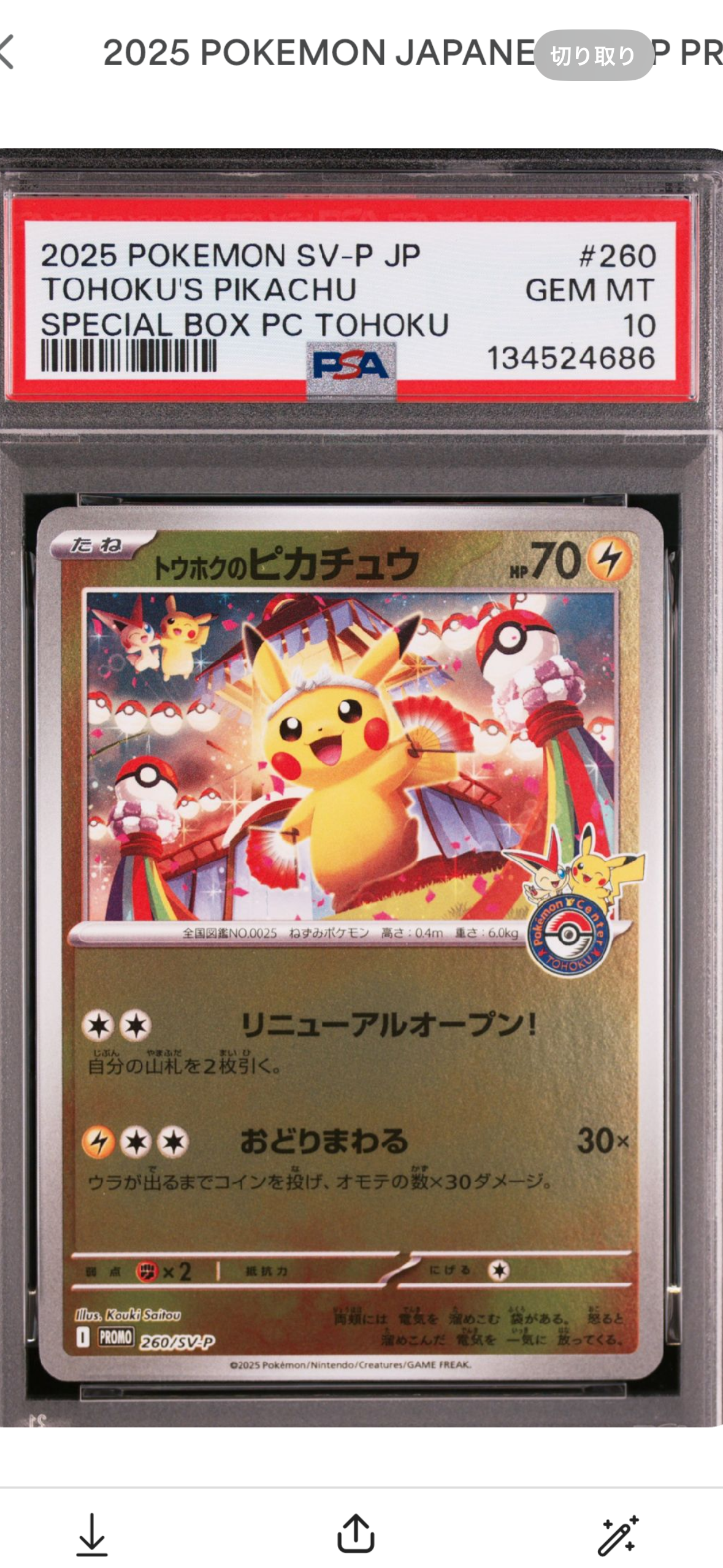 トウホクのピカチュウ P [SV-P 260](スペシャルBOX「ポケモンセンタートウホク」)