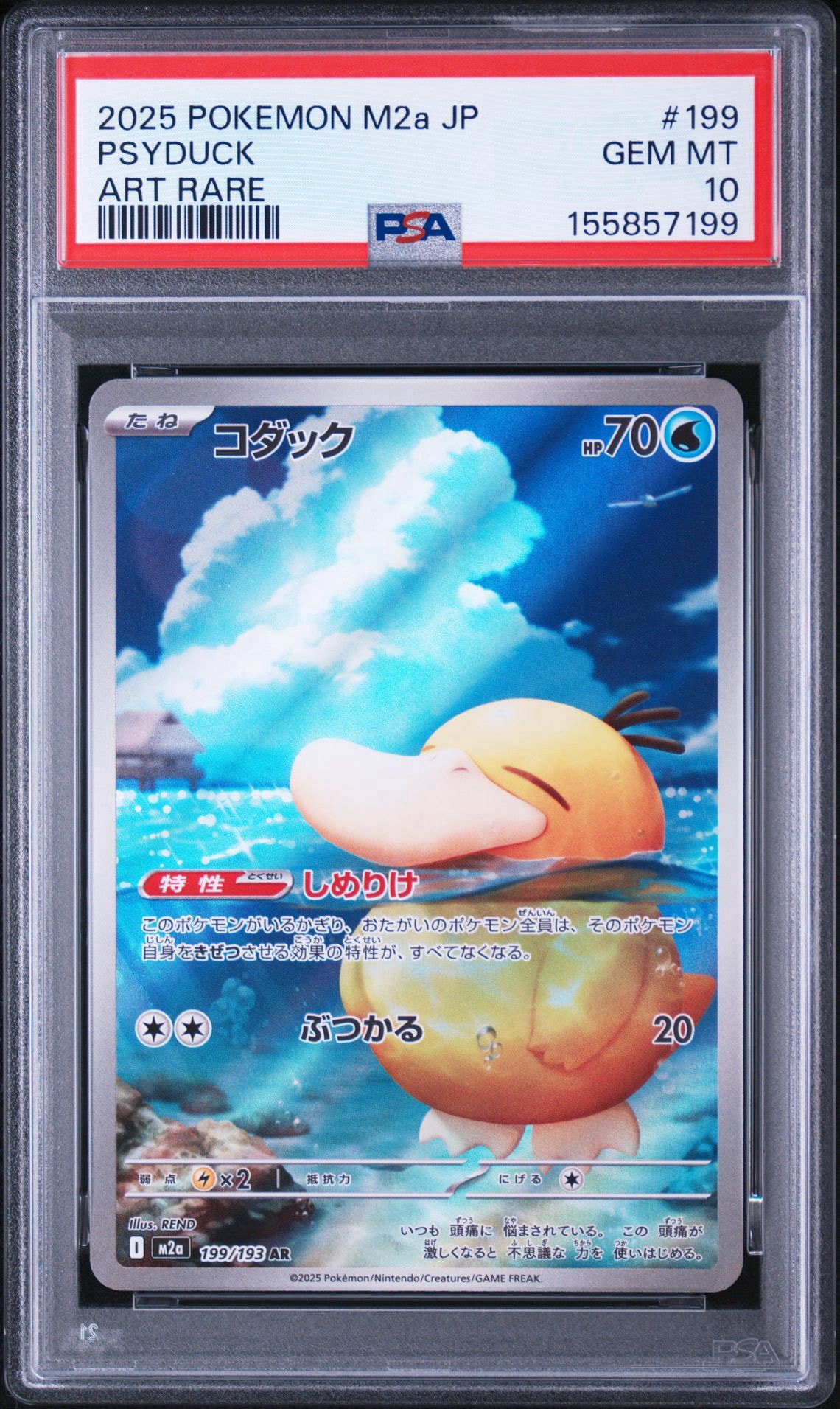 コダック AR [M2a 199/193](ハイクラスパック「MEGAドリームex」)
