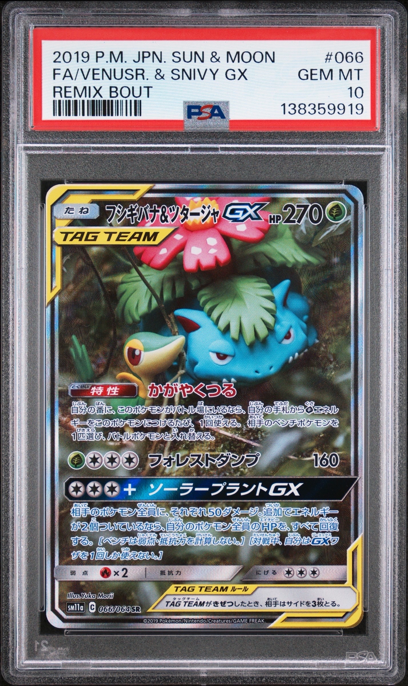 フシギバナ&ツタージャGX SR: SA[SM11a 066/064](強化拡張パック