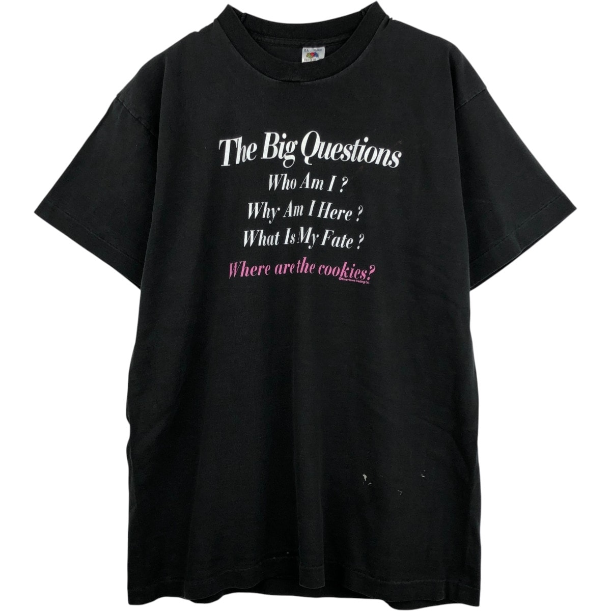 古着 フルーツオブザルーム FRUIT OF THE LOOM メッセージプリントTシャツ USA製 メンズXL相当 ヴィンテージ/eaa636877