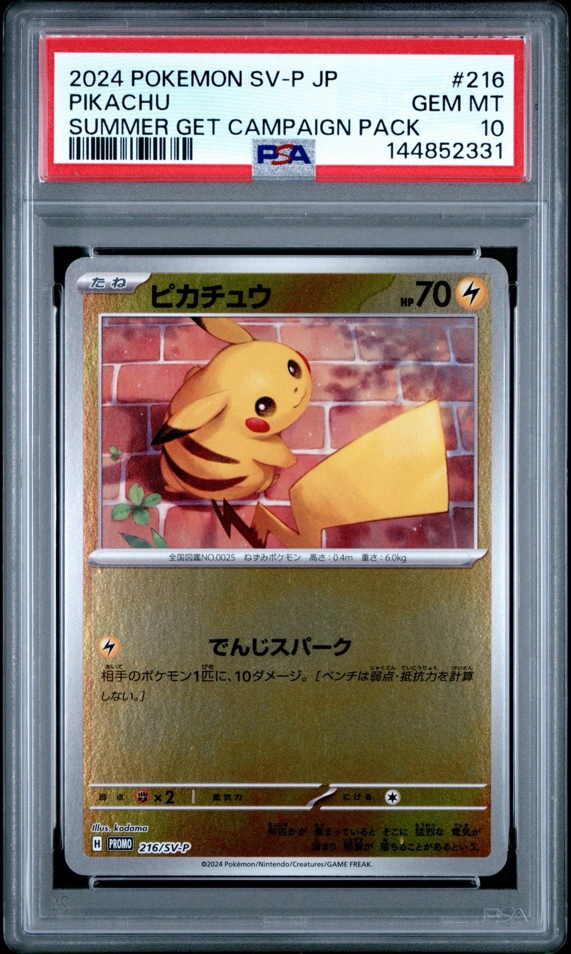 ピカチュウ P [SV-P 216](プロモカードパック「ポケカの夏がキタ!プロモカードGetキャンペーン!」)