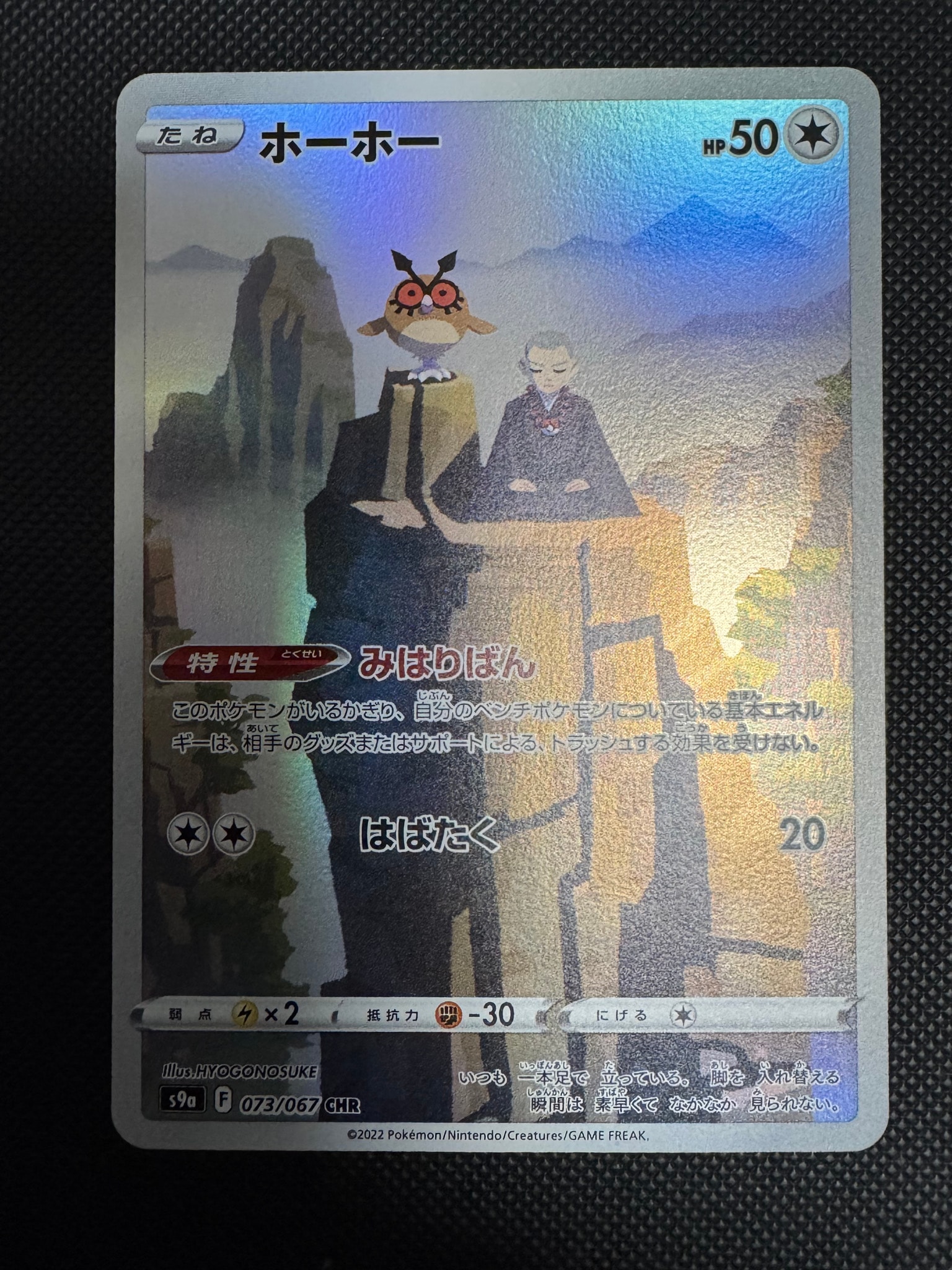 ホーホー CHR[s9a 073/067](強化拡張パック「バトルリージョン」)