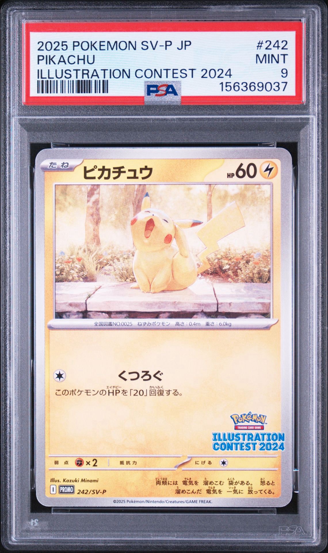 ピカチュウ [SV-P 242](プロモカードパック「イラストレーション