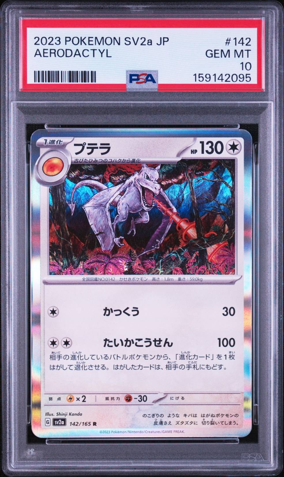 プテラ R[SV2a 142/165](強化拡張パック「ポケモンカード151」)通販