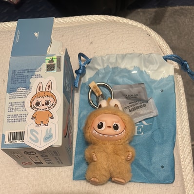 POP MART THE MONSTERS (LABUBU) Pin for Love Series-Vinyl Plush Pendant (N-Z) S