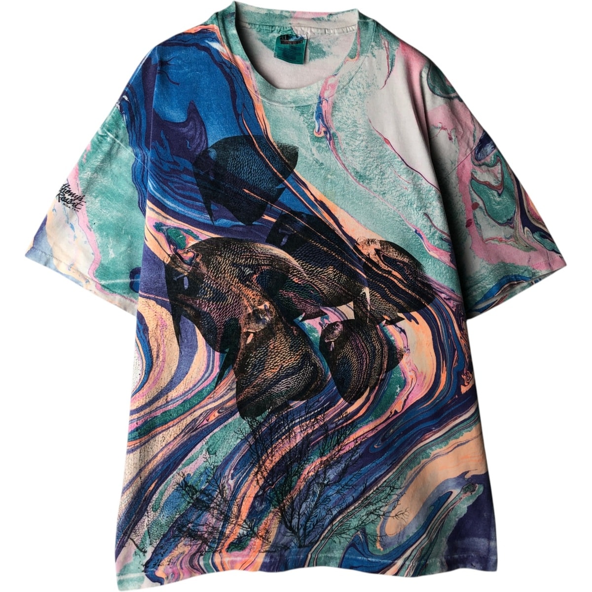 古着 90年代 ヘインズ Hanes HEAVYWEIGHT 総柄 アートTシャツ メンズXL相当 ヴィンテージ/eaa626309