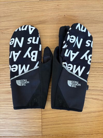 Supreme The North Face By Any Means Winter Runners Gloves "Black"