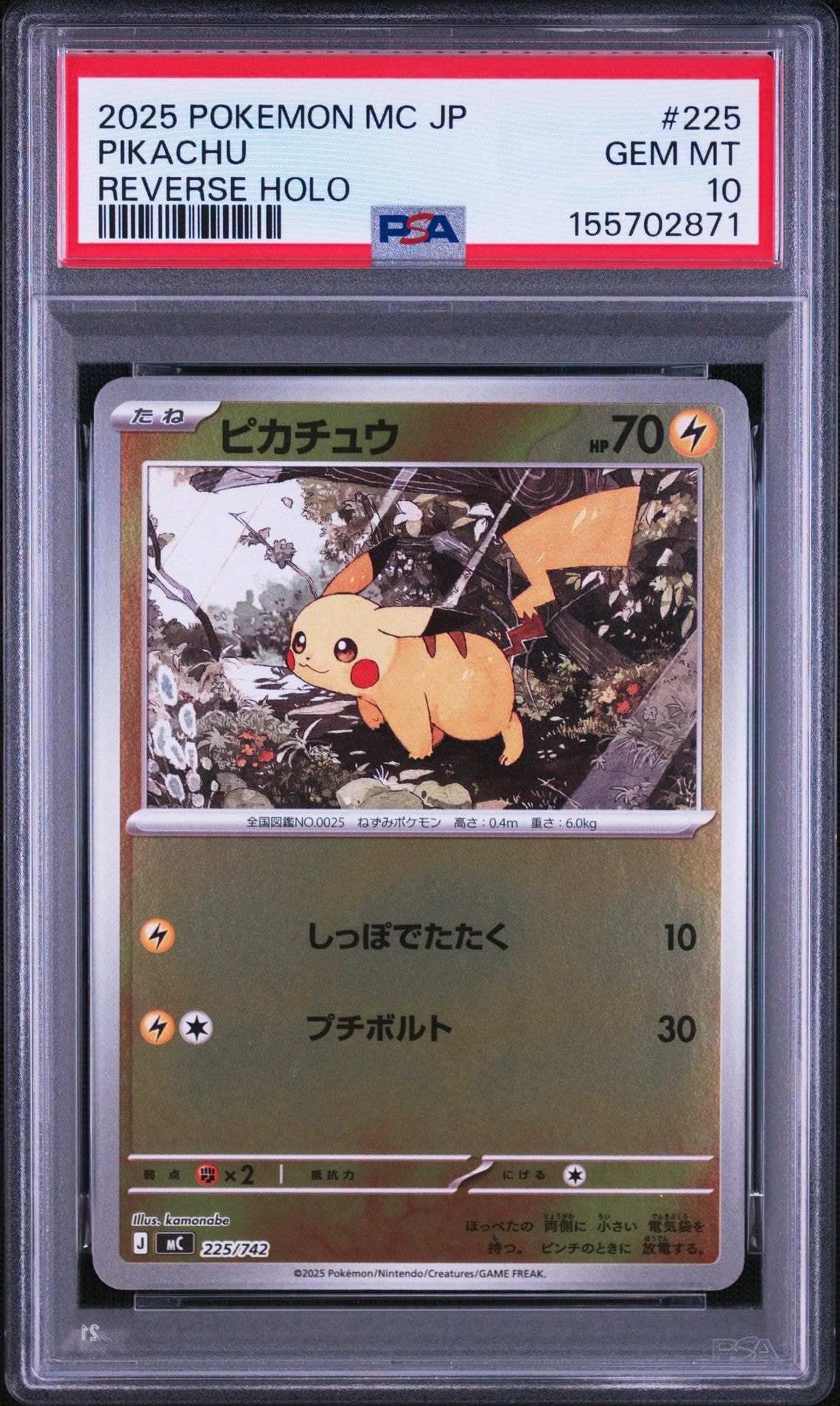 レントラーGL LV.X: プロモ [S8a-P 017](プロモカードパック 25th