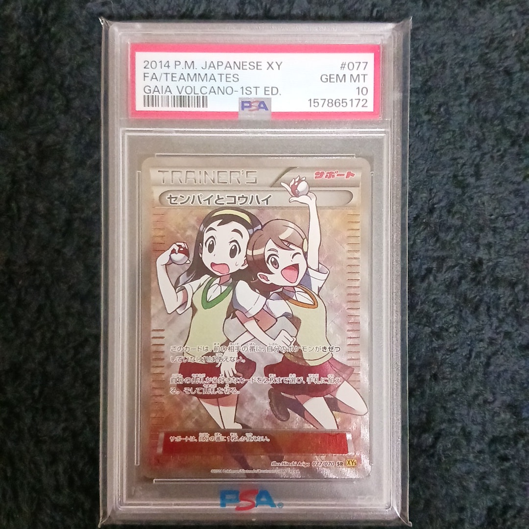 センパイとコウハイ SR :1ED [XY5-G 077/070](拡張パック「ガイア