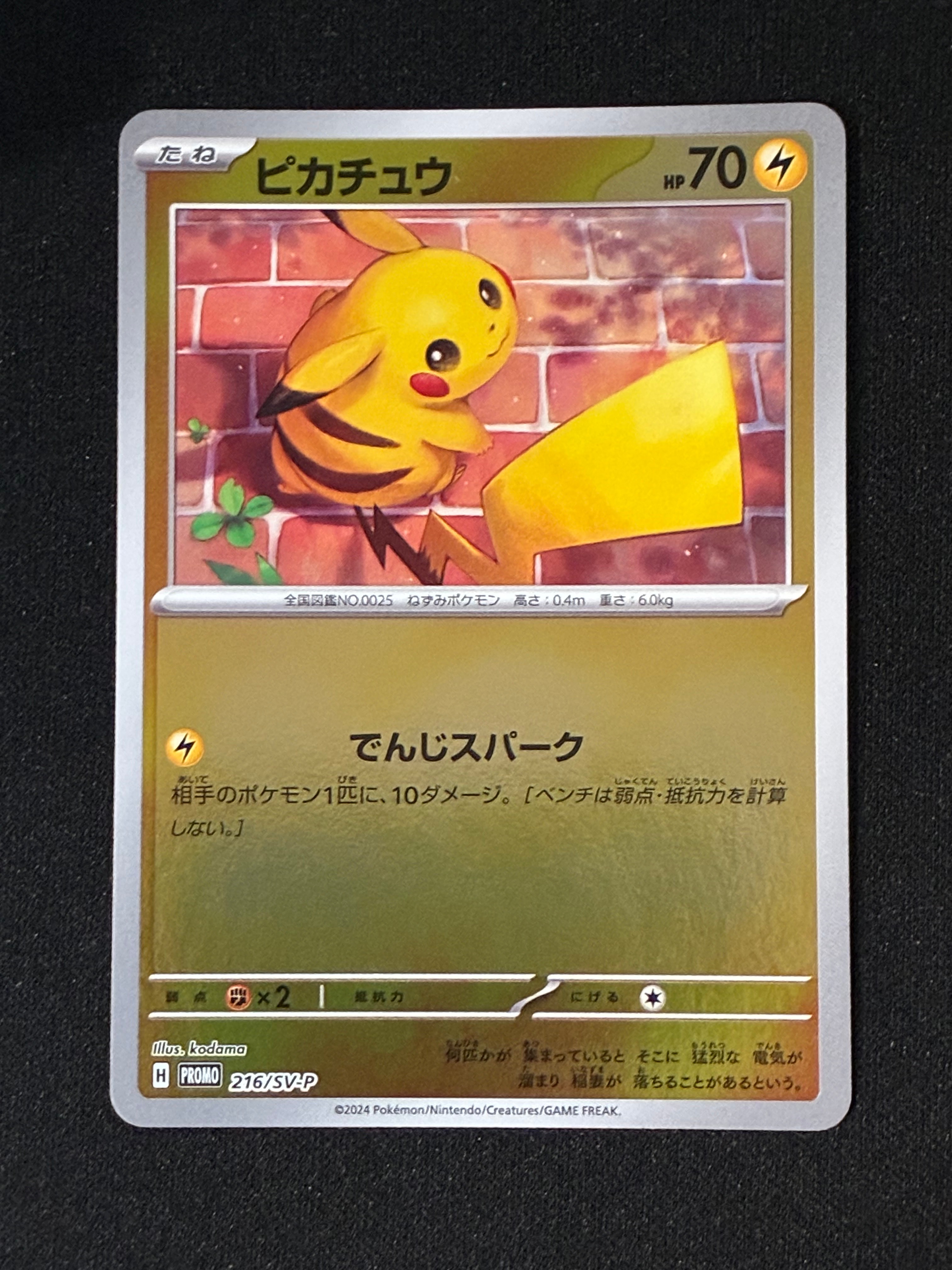 ピカチュウ P [SV-P 216](プロモカードパック「ポケカの夏がキタ!プロモカードGetキャンペーン!」)