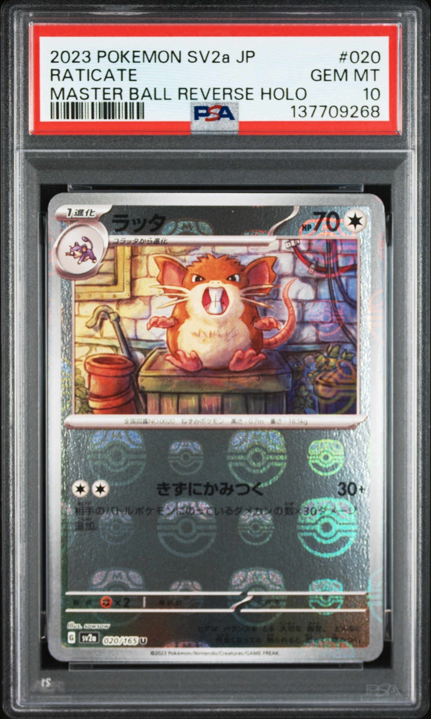 ラッタ U: マスターボールミラー[SV2a 020/165](強化拡張パック