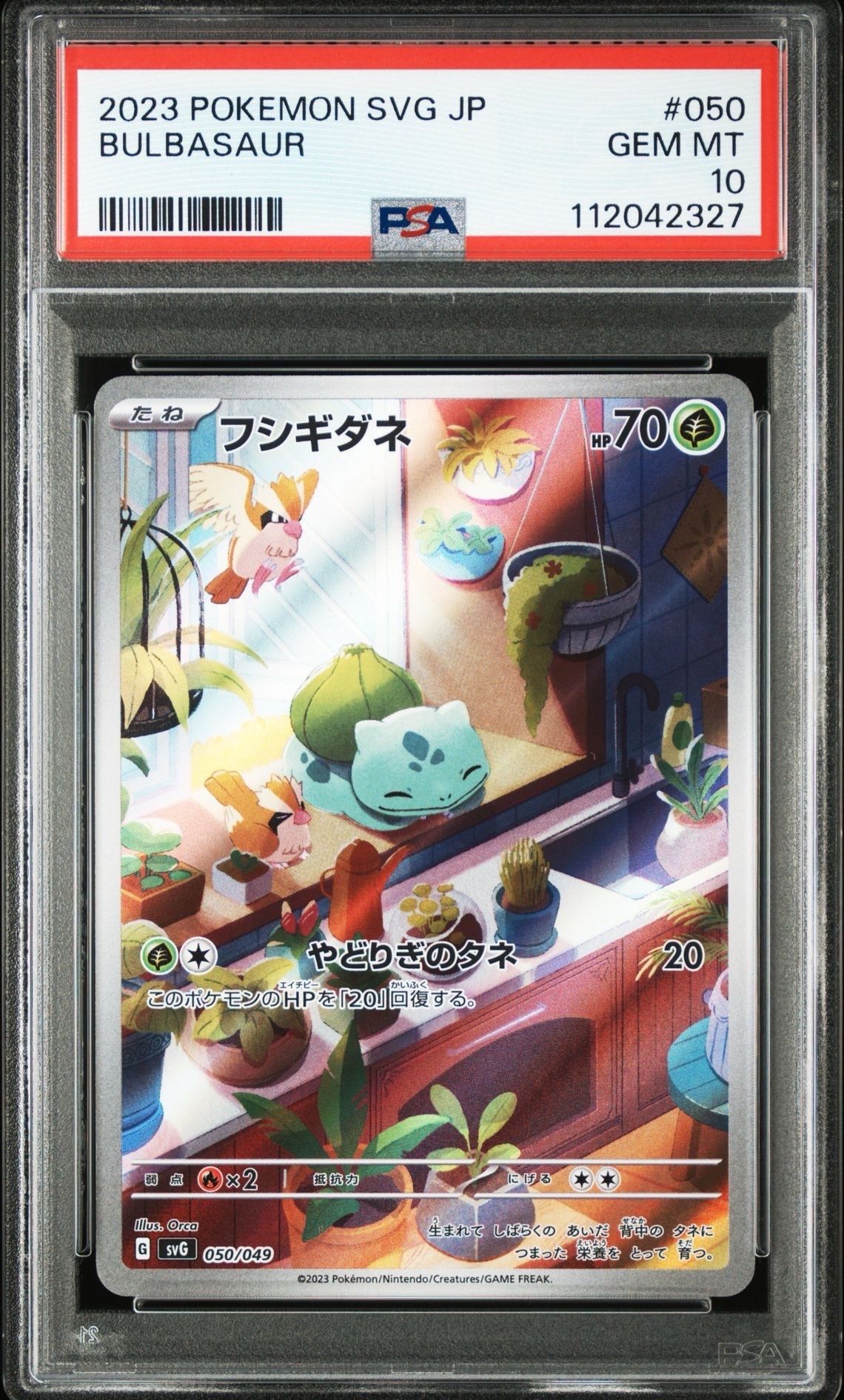 フシギダネ :フルイラスト [SVG 050/049](スペシャルデッキセットex「フシギバナ・リザードン・カメックス」)