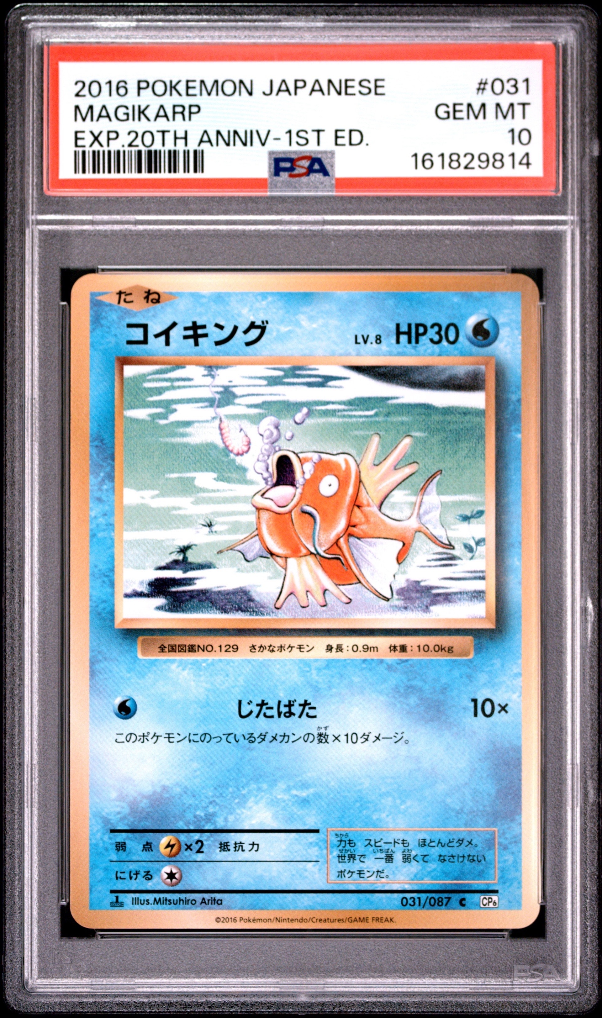 コイキング C :1ED [CP6 031/087](コンセプトパック