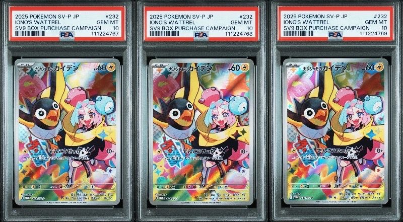 ナンジャモのカイデン P [SV-P 232](プロモーションカード「拡張パック バトルパートナーズ Box購入キャンペーン」)