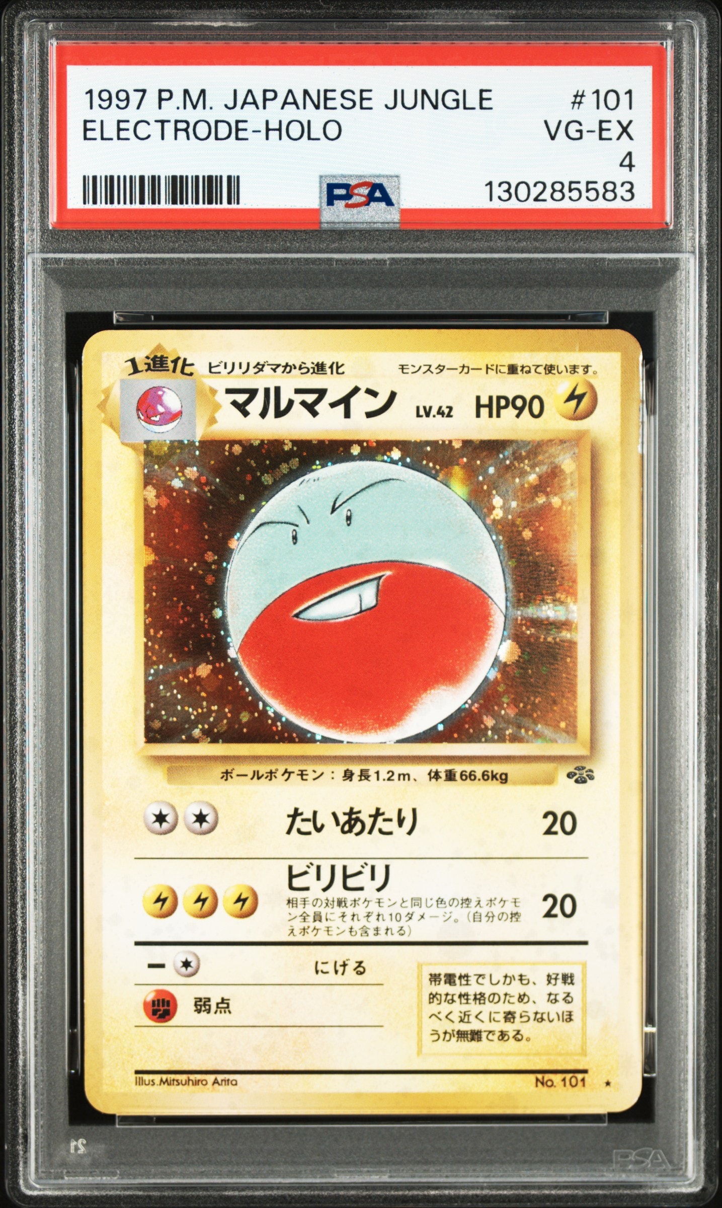 マルマイン R: 旧裏 [PMCG2 No.101](拡張パック「ポケモンジャングル」)