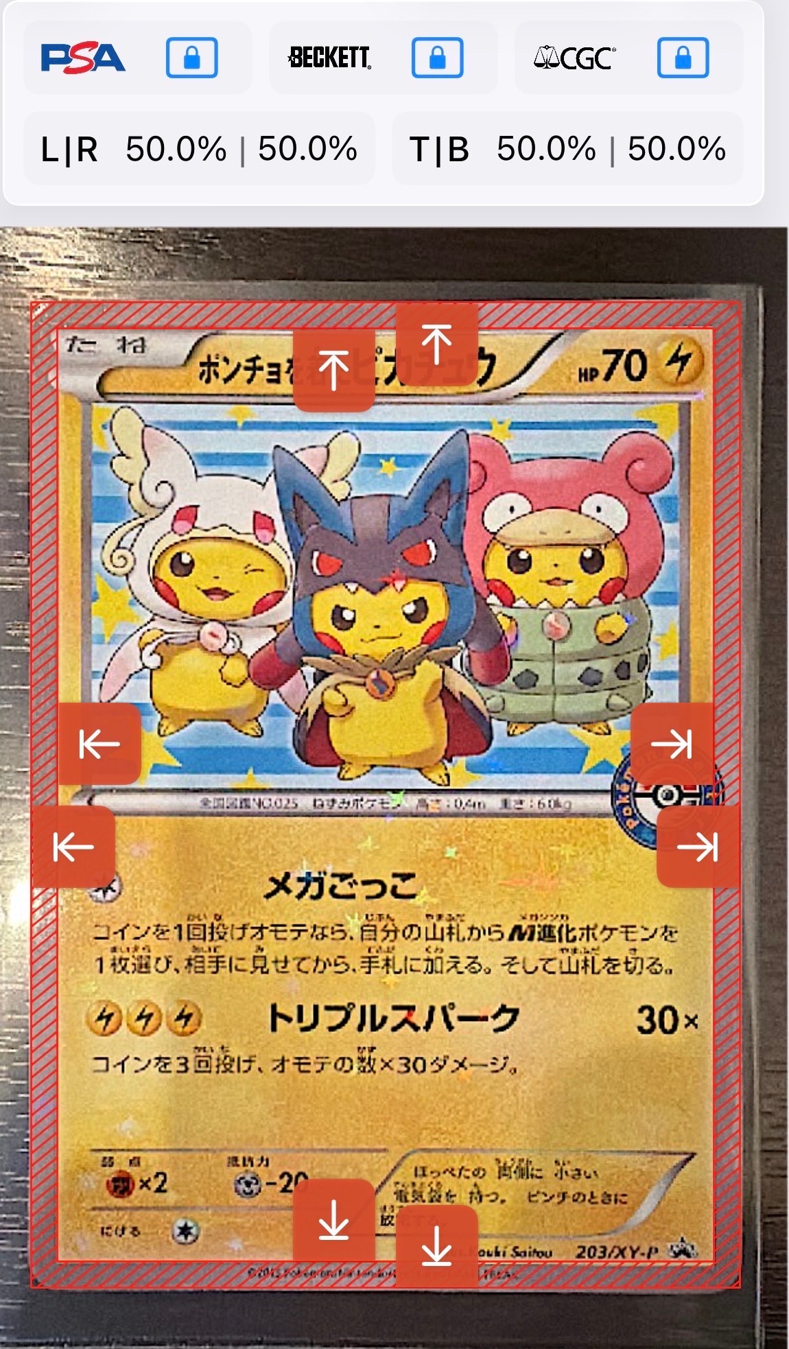 ポンチョを着たピカチュウ: プロモ (ポンチョピカチュウ) [XY-P 203/XY-P](プロモーションカード「XY-P」)