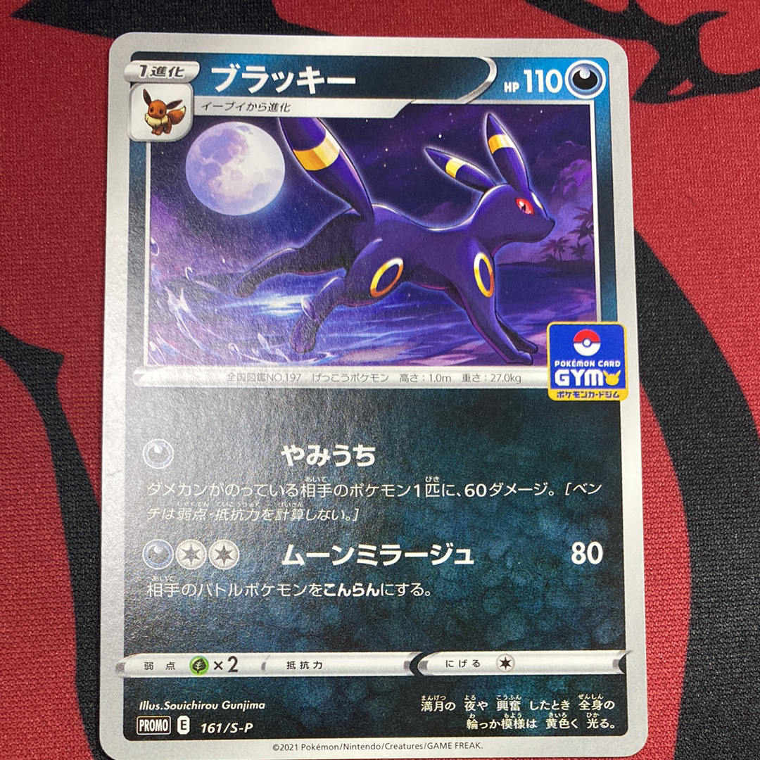 【PSA10】ブラッキー 161/S-P ジムプロモ 第5弾 PSA10鑑定済〕ブラッキー【P】{161/S-P}