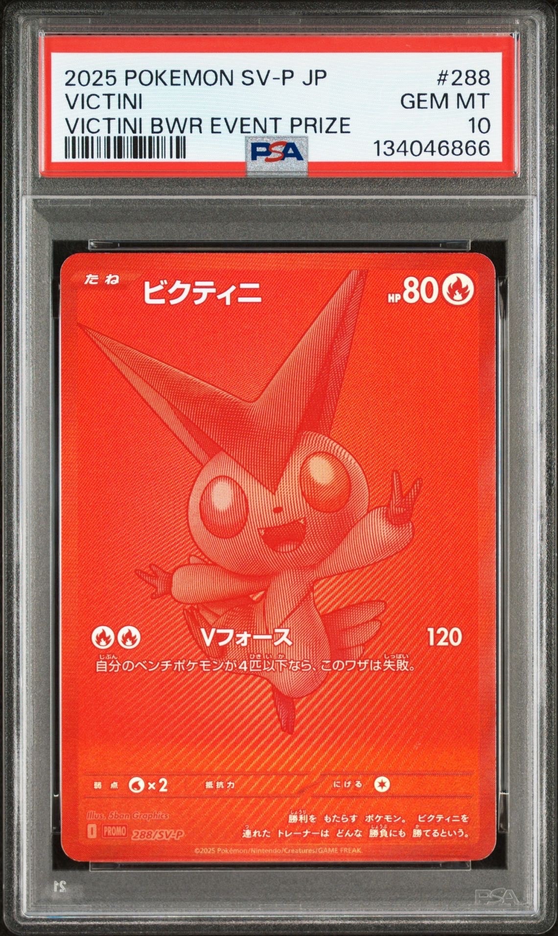 ビクティニ P [SV-P 288](プロモーションカード「ビクティニBWR争奪戦 上位賞 / おうちでブラックボルト・ホワイトフレア デッキ構築戦キャンペーン)