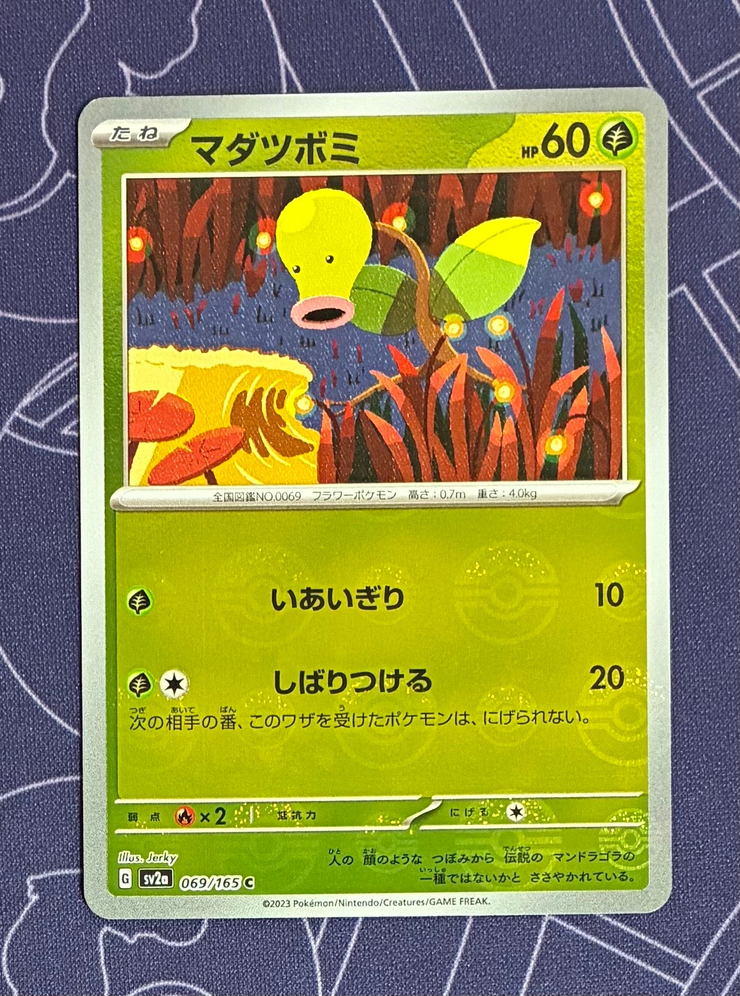 【PSA10】 ポケカ スイクン ホロ カードe 1ED 第2弾 地図にない町 スイクン ホロ カードe2弾 1ed 031/092 ポケカ - メルカリ