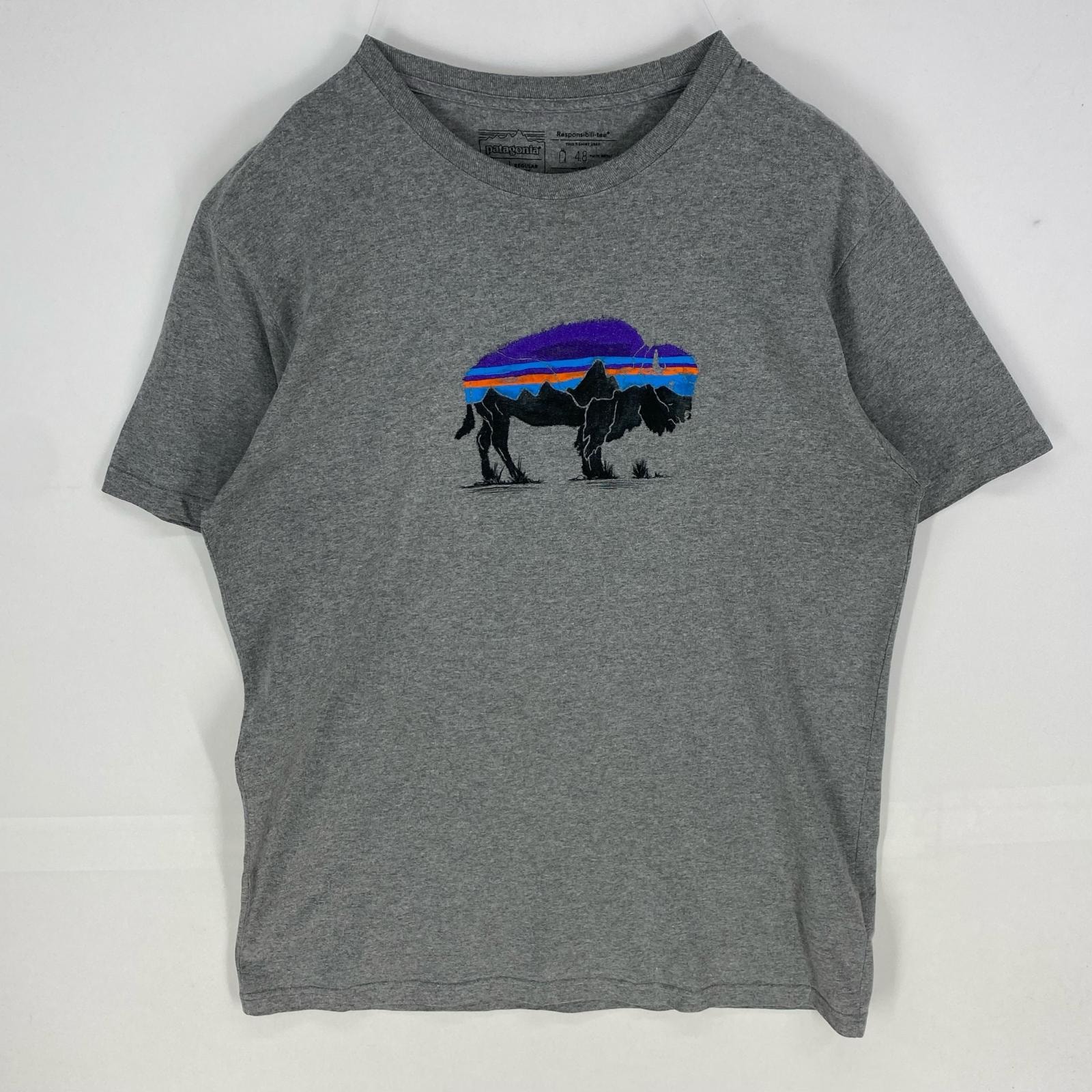 古着 パタゴニア patagonia 半袖Tシャツ クルーネック アウトドア ショートスリーブ XL  グレー系 プリント メンズ