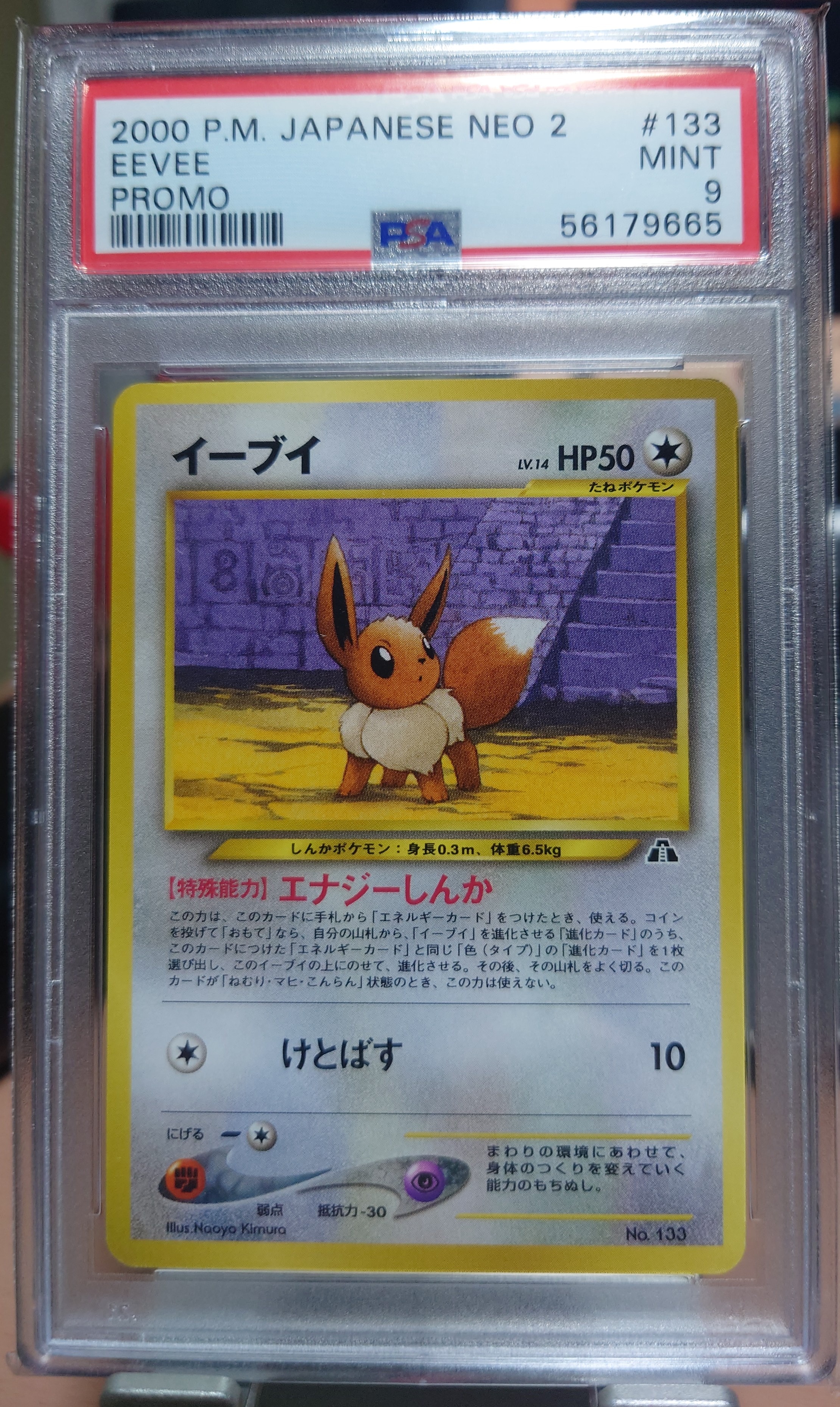 イーブイプレミアムファイル2: 旧裏[neoP2 No.133](プレミアムファイル2)