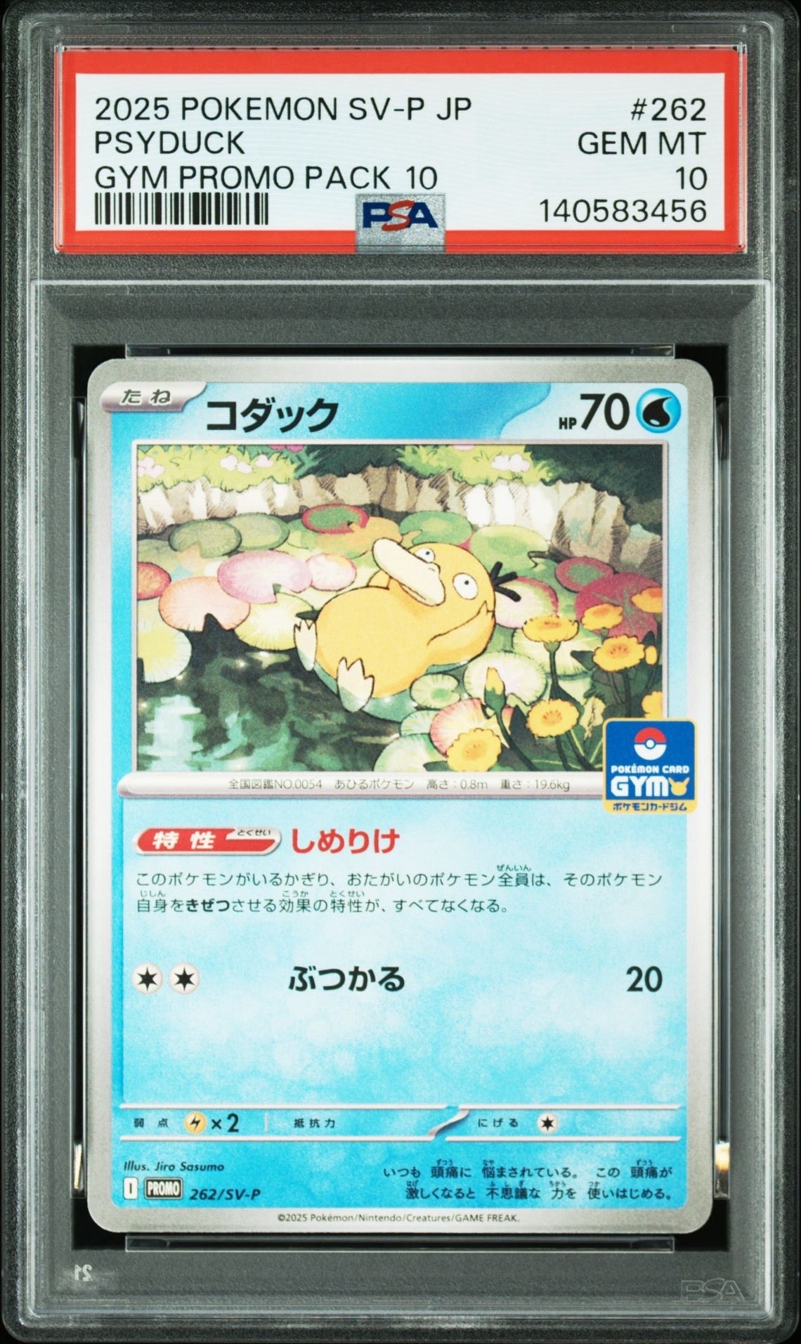コダック P [SV-P 262](プロモカードパック「第10弾」)